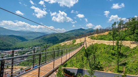 Holiday Inn Club Vacations Smoky Mountain Resort, an IHG Hotel - Image 45