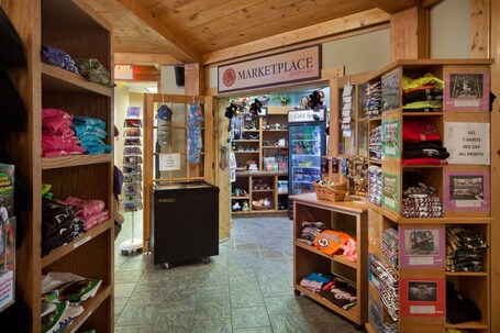 Holiday Inn Club Vacations Smoky Mountain Resort, an IHG Hotel - Image 16