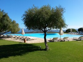 Outdoor pool, pool umbrellas, sun loungers