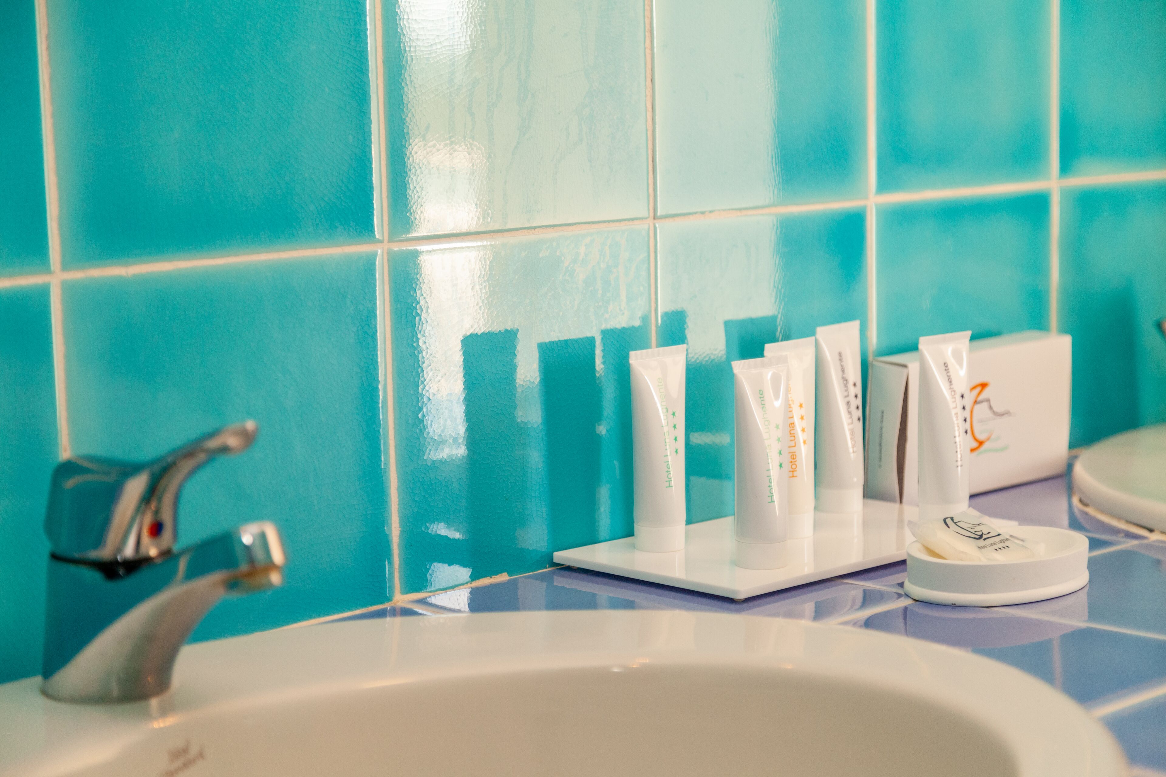 deluxe suite | bathroom amenities | free toiletries, hair dryer, slippers, bidet