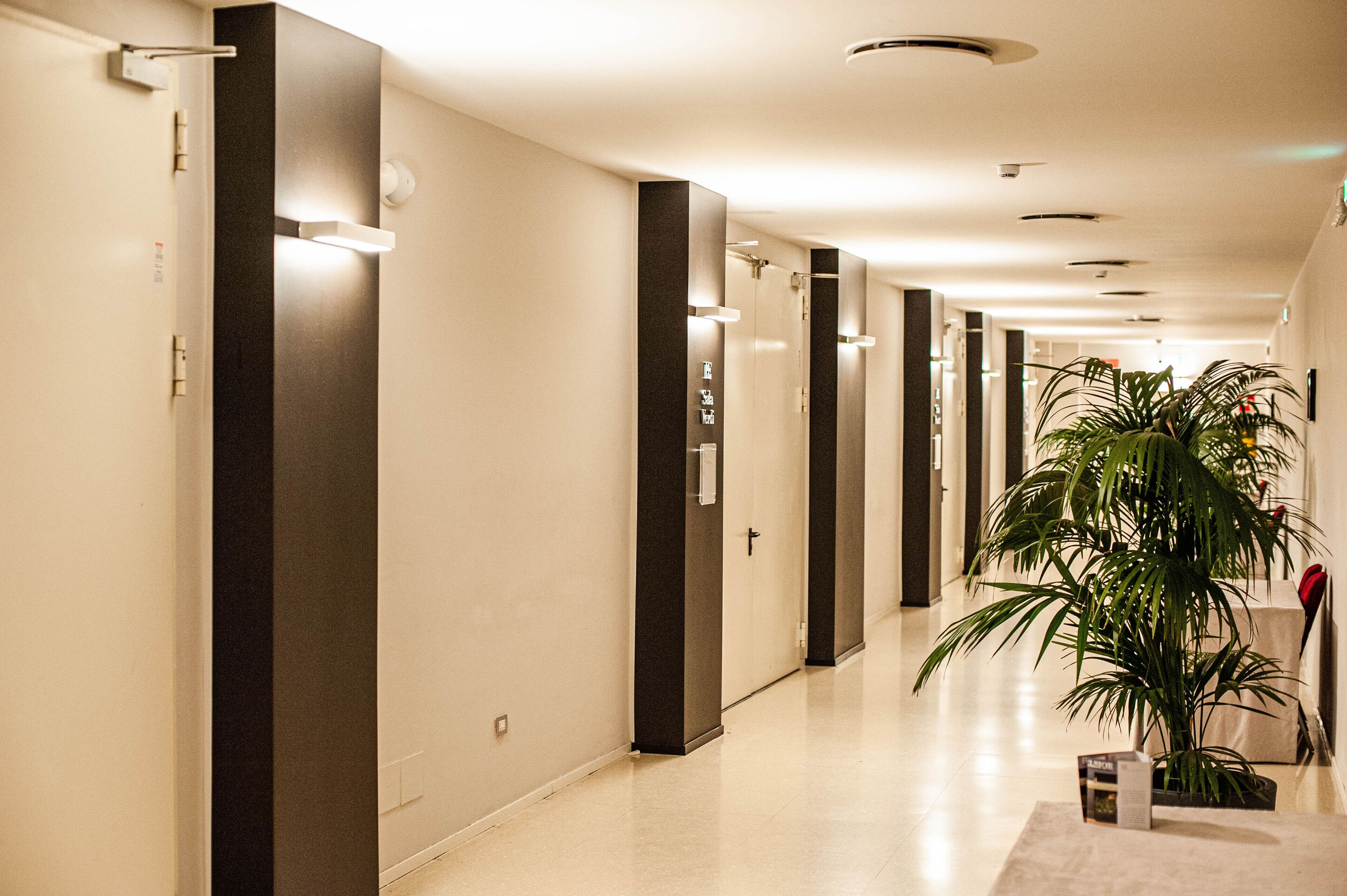 Un couloir d’hôtel moderne, avec un long passage, des portes et une plante en pot.