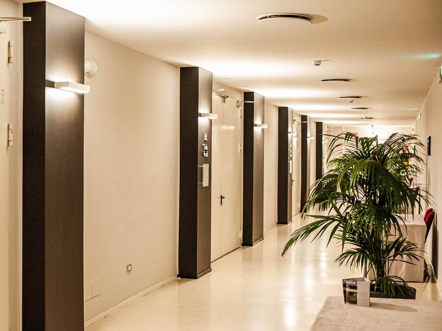 A modern hotel corridor with a long hallway, doors, and a potted plant.