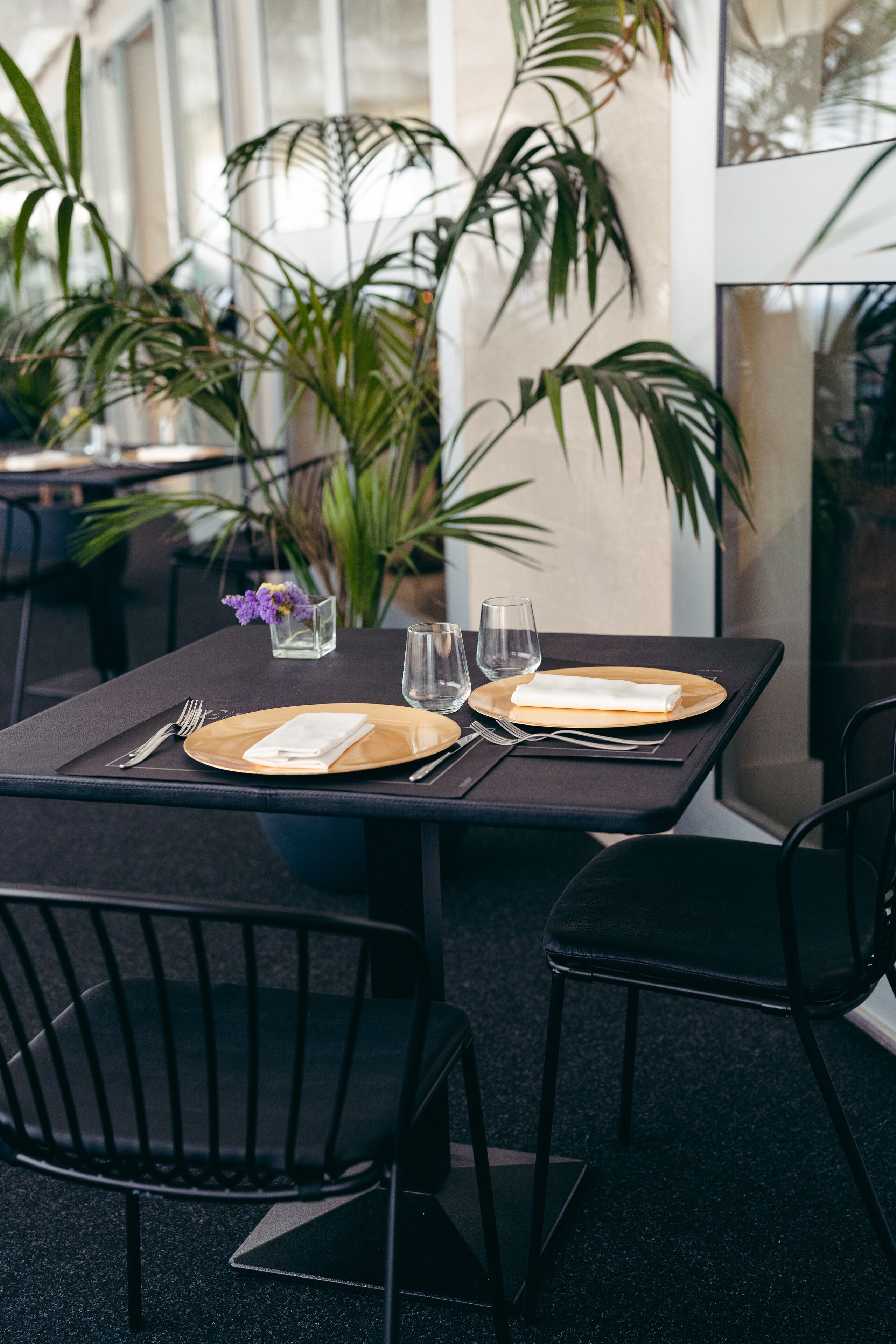 A dining table set with plates, cutlery, and glasses, surrounded by chairs and potted plants.