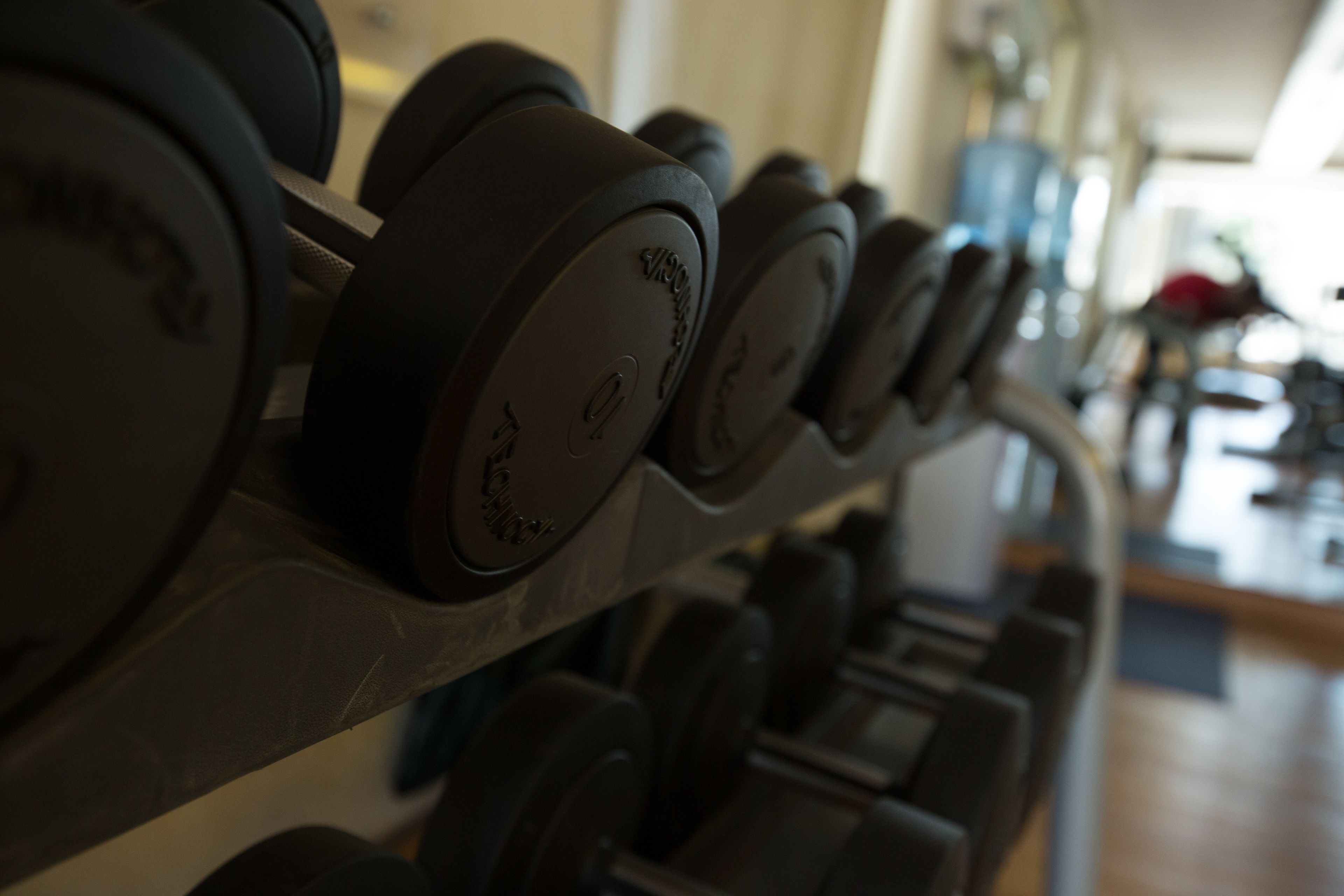 A row of black dumbbells on a rack.