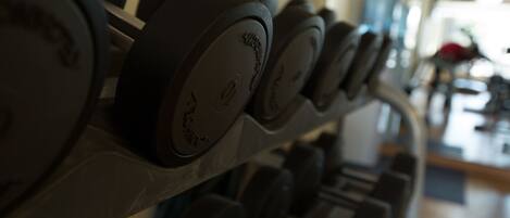 A row of black dumbbells on a rack.