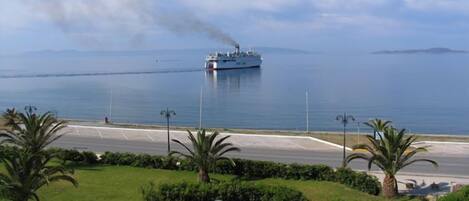 A cruise ship with smoke visible in the distance, a road with palm trees, and a clear view of the sea.