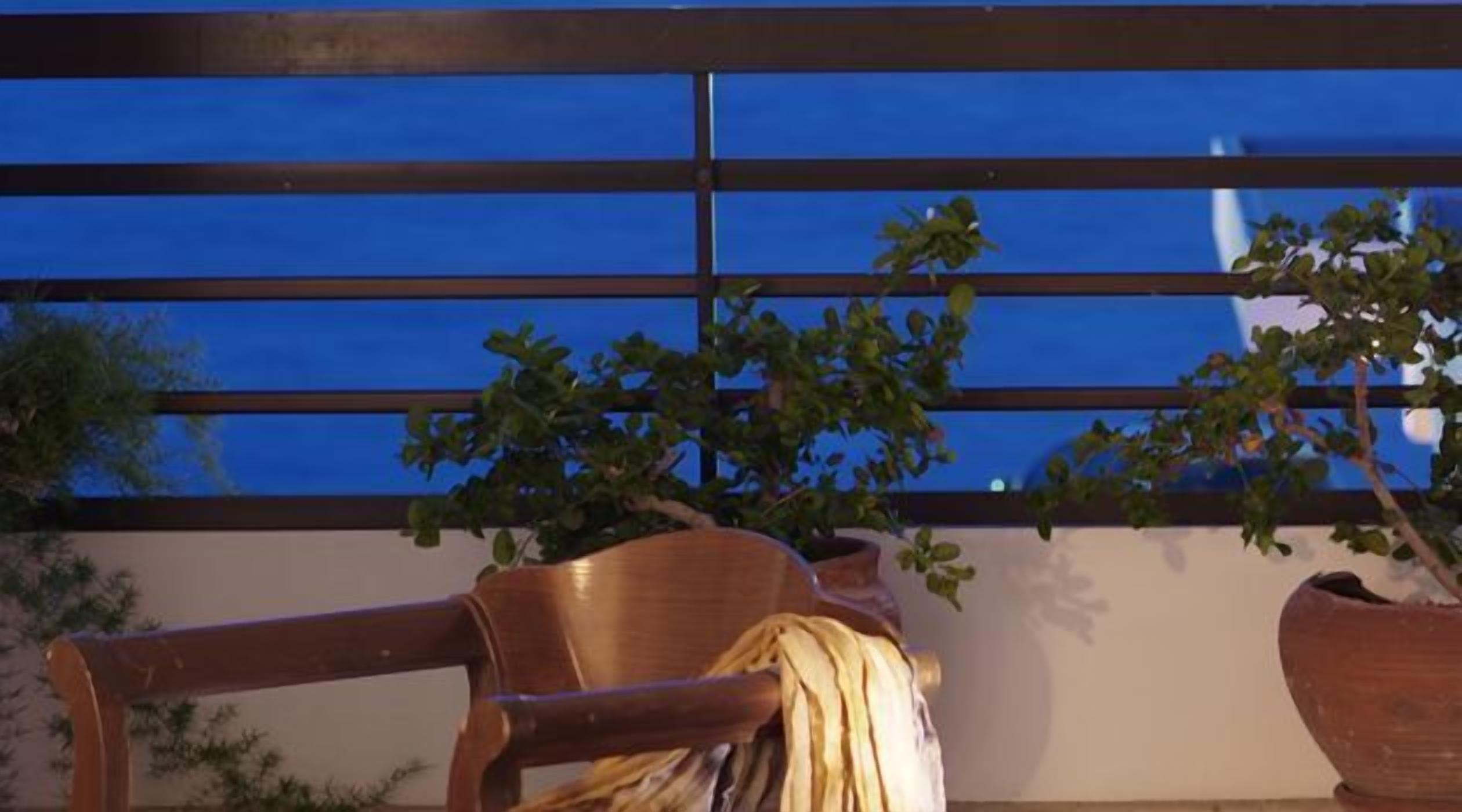 Una silla de madera con una planta en maceta al lado, frente a una ventana azulada con persianas horizontales.