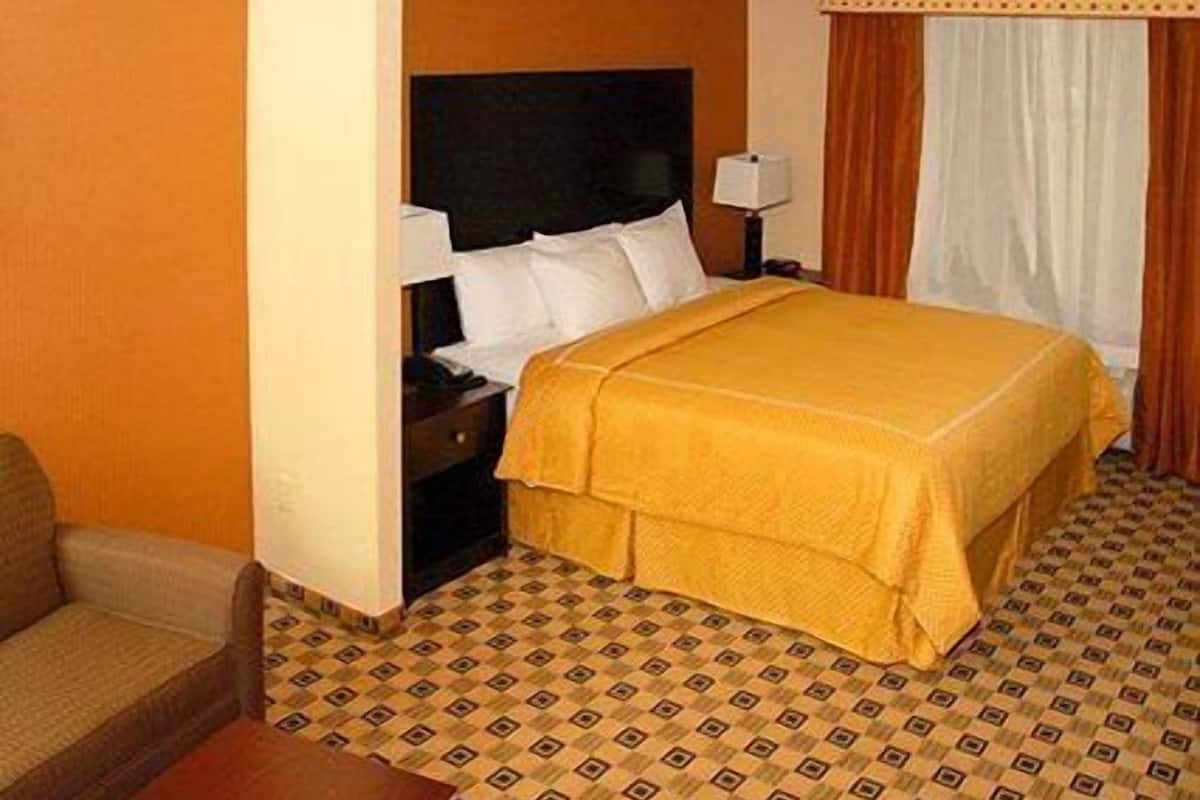 A hotel room with a bed, a nightstand, a lamp, a chair, and a patterned carpet.