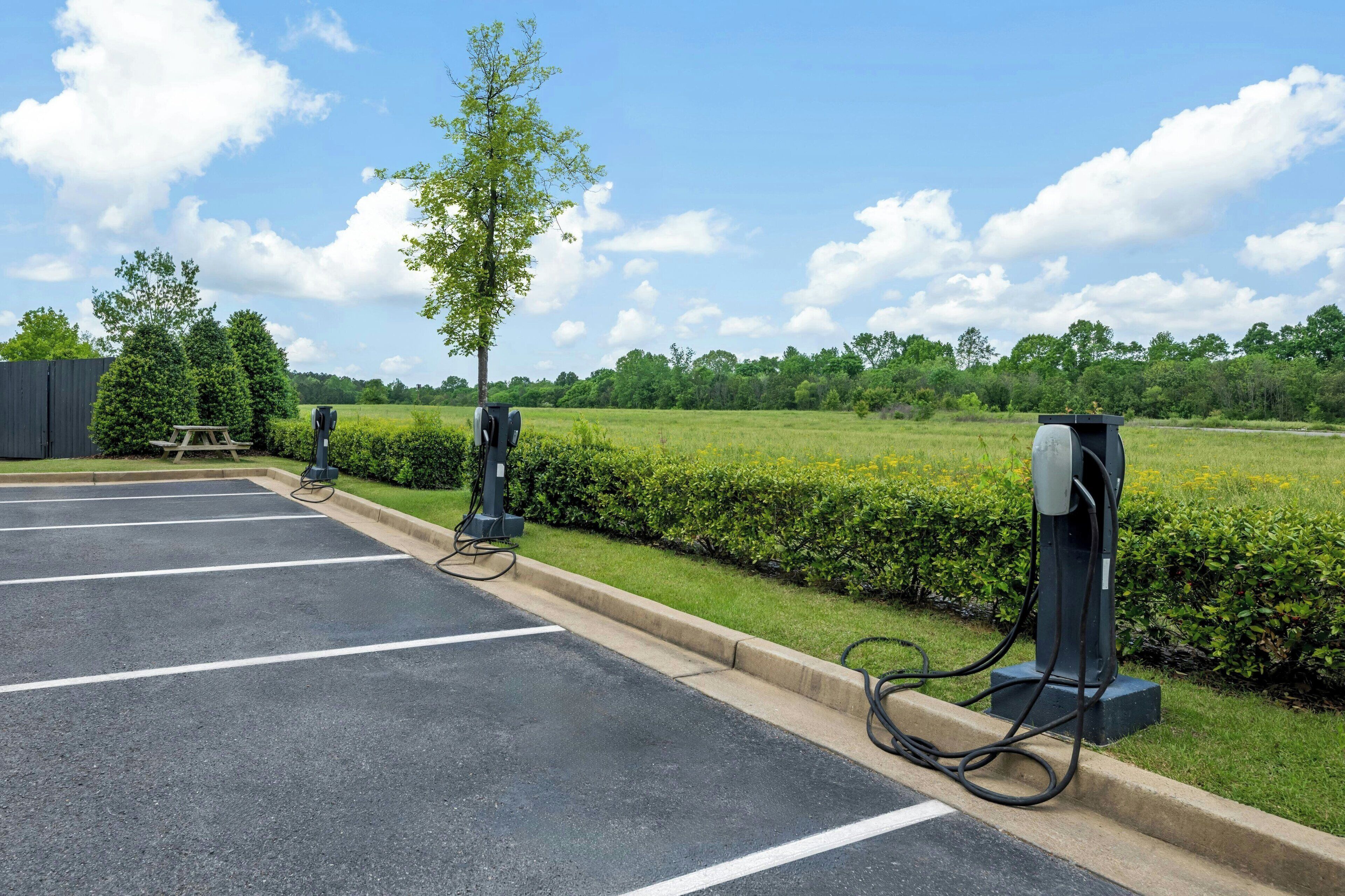 A parking lot with electric vehicle charging stations, a picnic table, and a tree.
