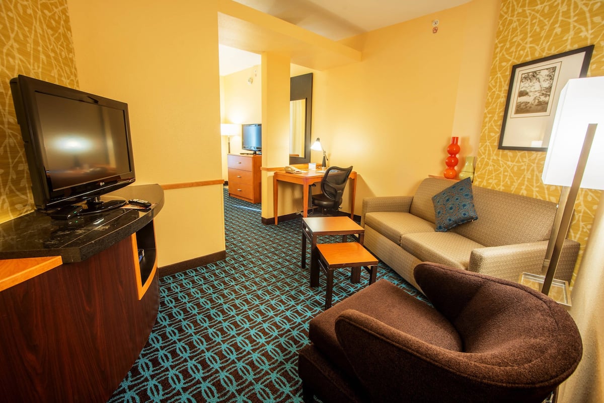 executive suite, 1 king bed with sofa bed, non smoking | living area | 32-inch lcd tv with satellite channels, tv
