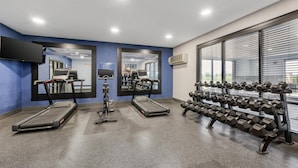 A gym with treadmills, dumbbells, and exercise equipment.