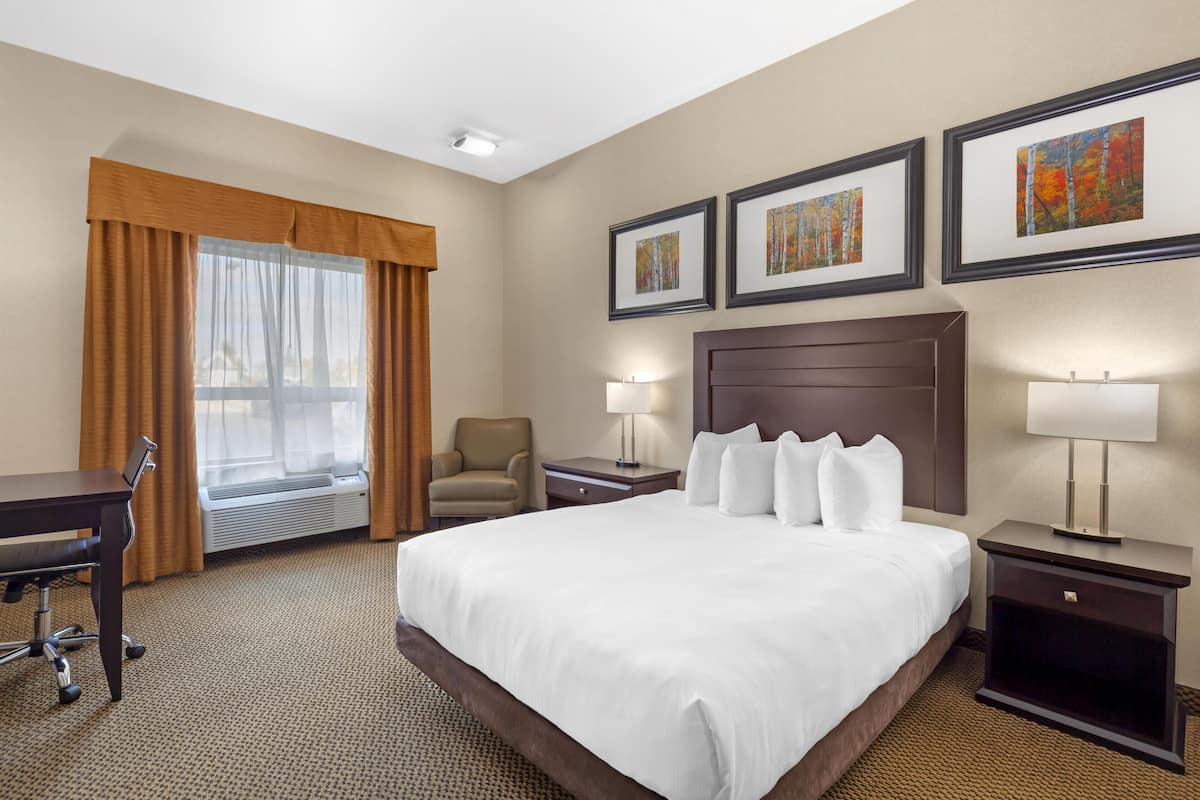 Standard Room, 1 Queen Bed, Accessible, Refrigerator & Microwave (Refrigerator & Microwave) | Hypo-allergenic bedding, in-room safe, desk, laptop workspace