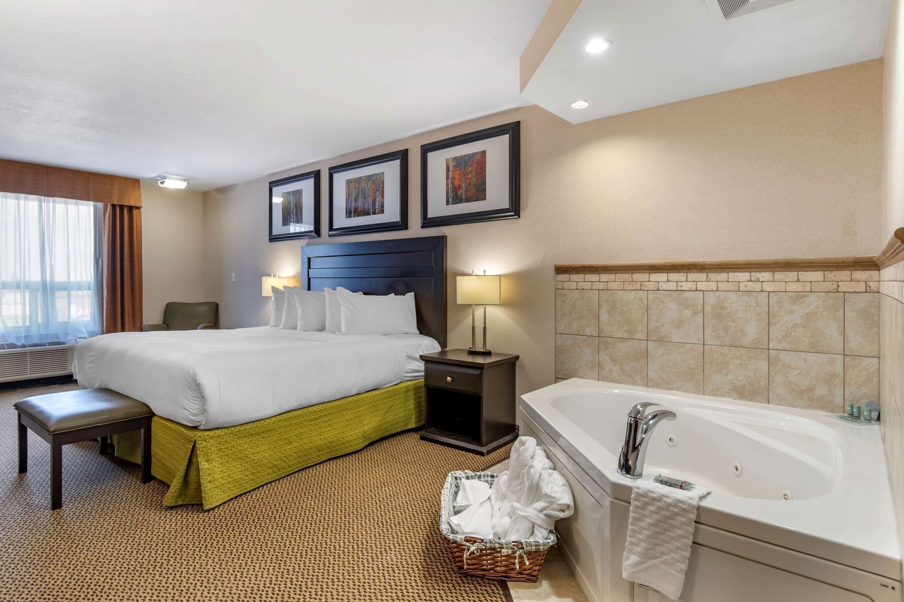 Hypo-allergenic bedding, in-room safe, desk, laptop workspace