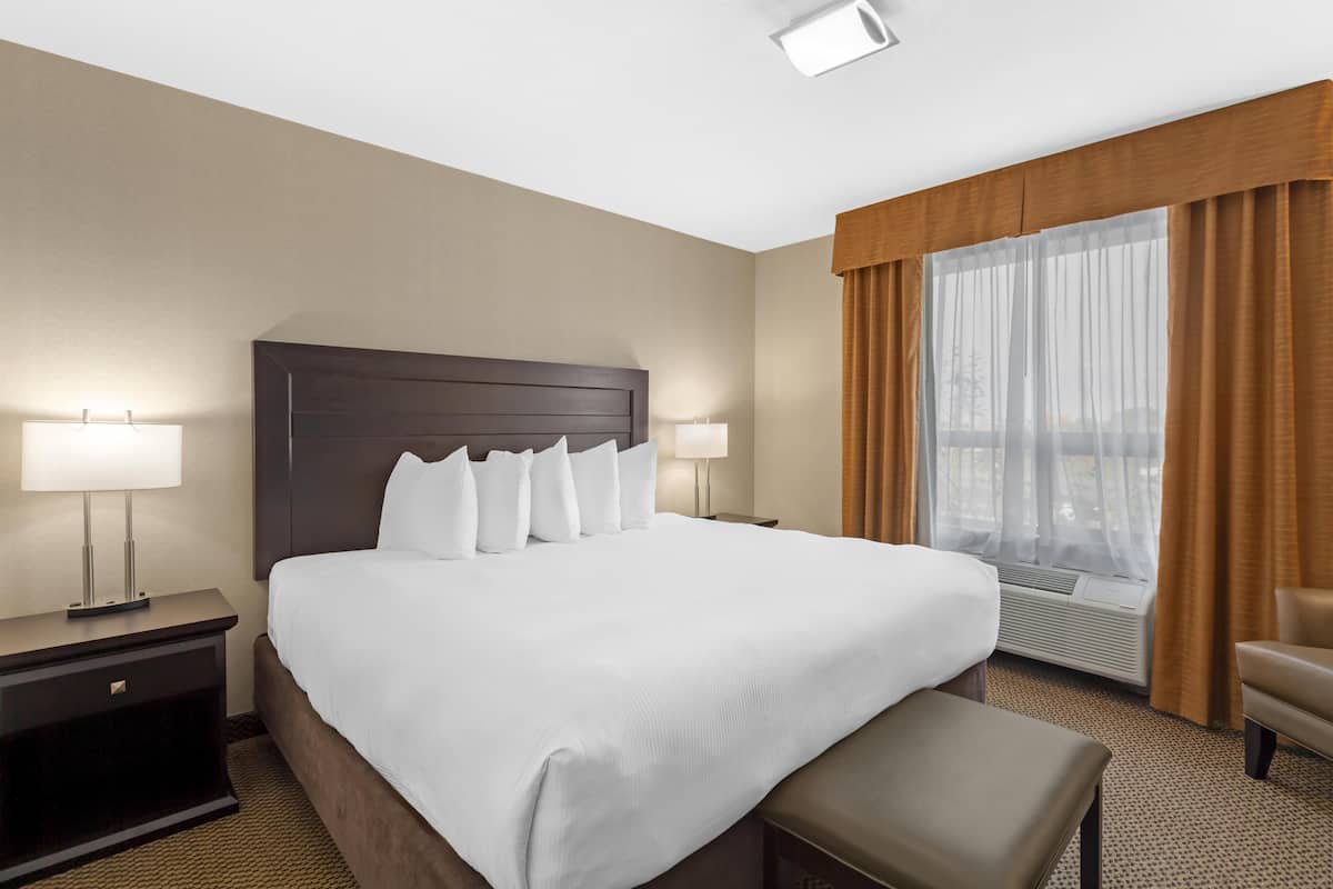 Suite, 1 King Bed, Non Smoking, Refrigerator & Microwave (with Sofabed) | Hypo-allergenic bedding, in-room safe, desk, laptop workspace
