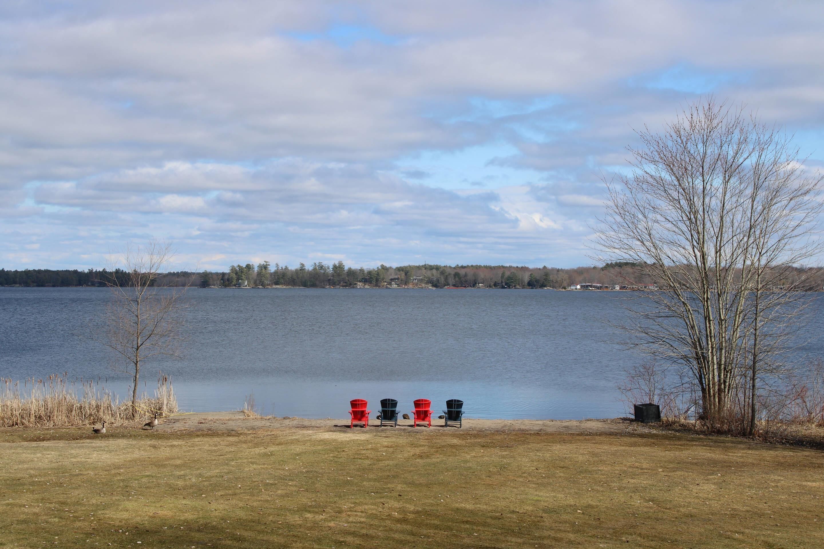 Vista al lago con tres sillas Adirondack orientadas al agua, un área cubierta de césped y un árbol a la derecha.