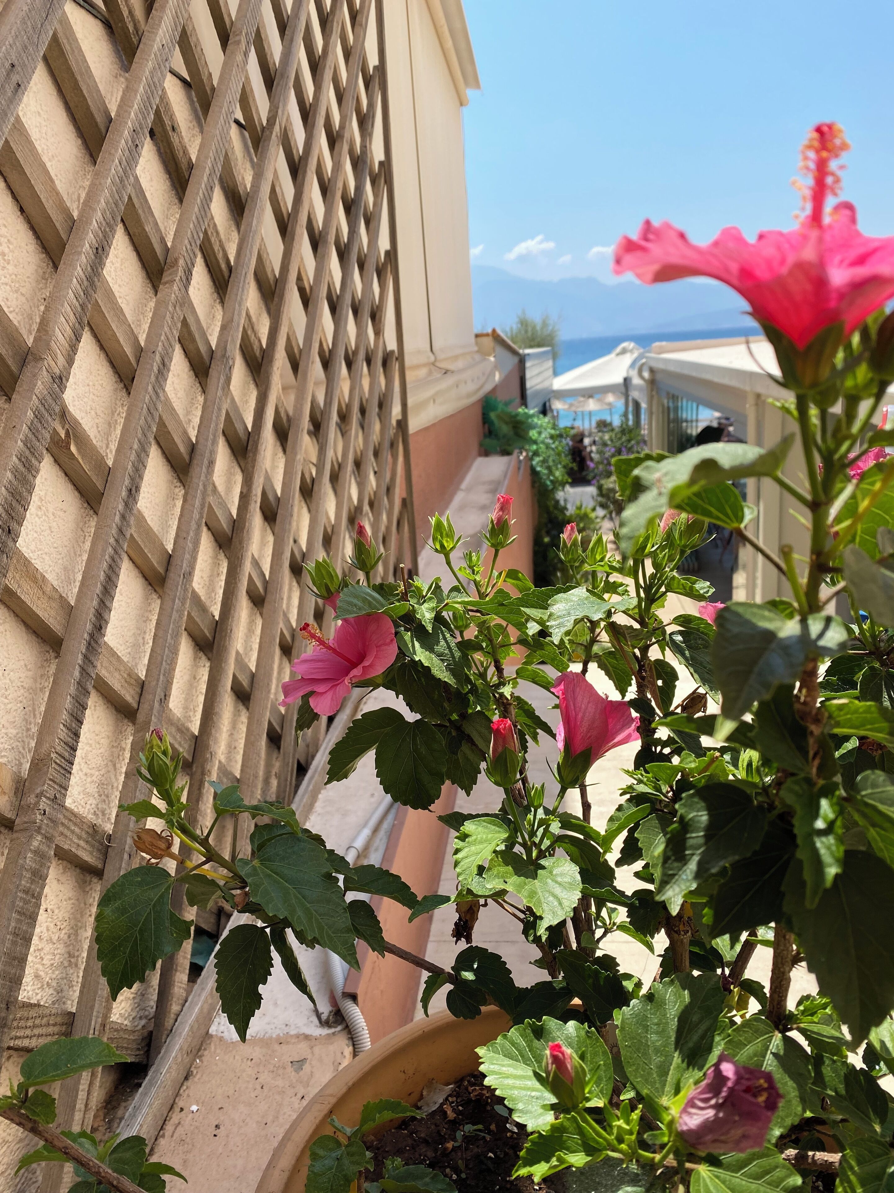 Photo - Palazzo Arhontiko Apartments