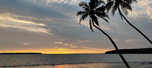 Beachfront Sea View | Minibar, in-room safe, desk, soundproofing
