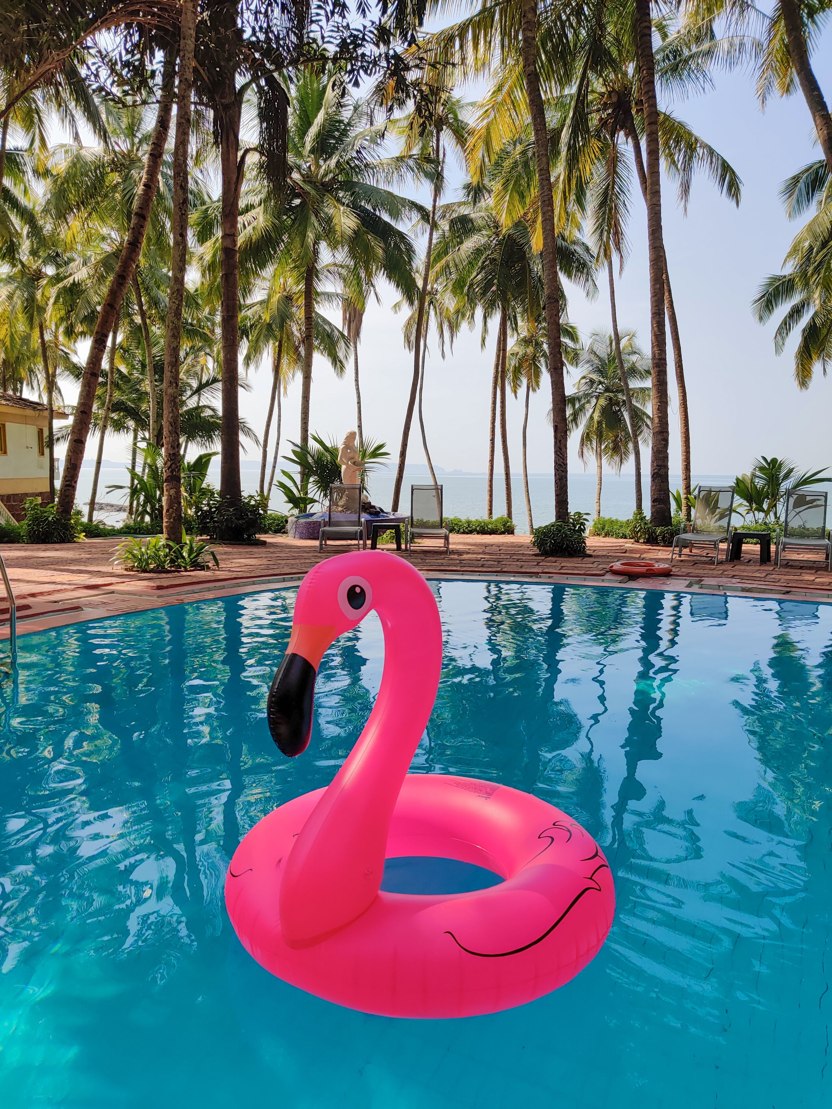 Ein Pool mit einem Flamingo-Schwimmtier, umgeben von Palmen und Liegestühlen.