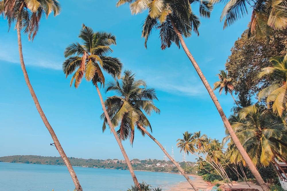 Bambolim Beach Resort