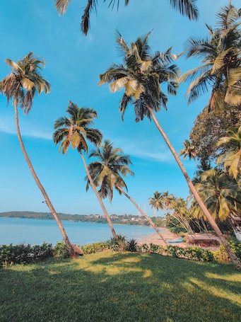 Exterior. Bambolim Beach Resort