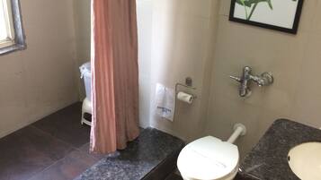 Une salle de bain avec douche, toilettes et lavabo.