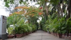 A pathway flanked by potted plants and a signboard, likely indicating a botanical garden or park area. - Hotel Kala Sagar (Pune)