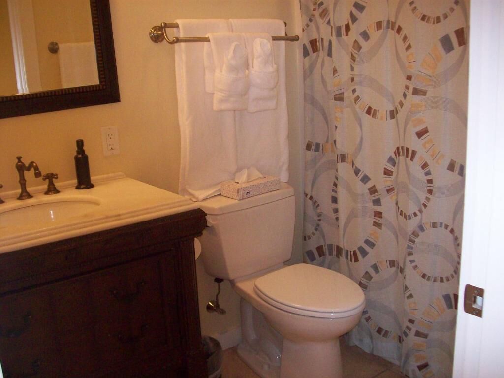 combined shower/bathtub, free toiletries, towels