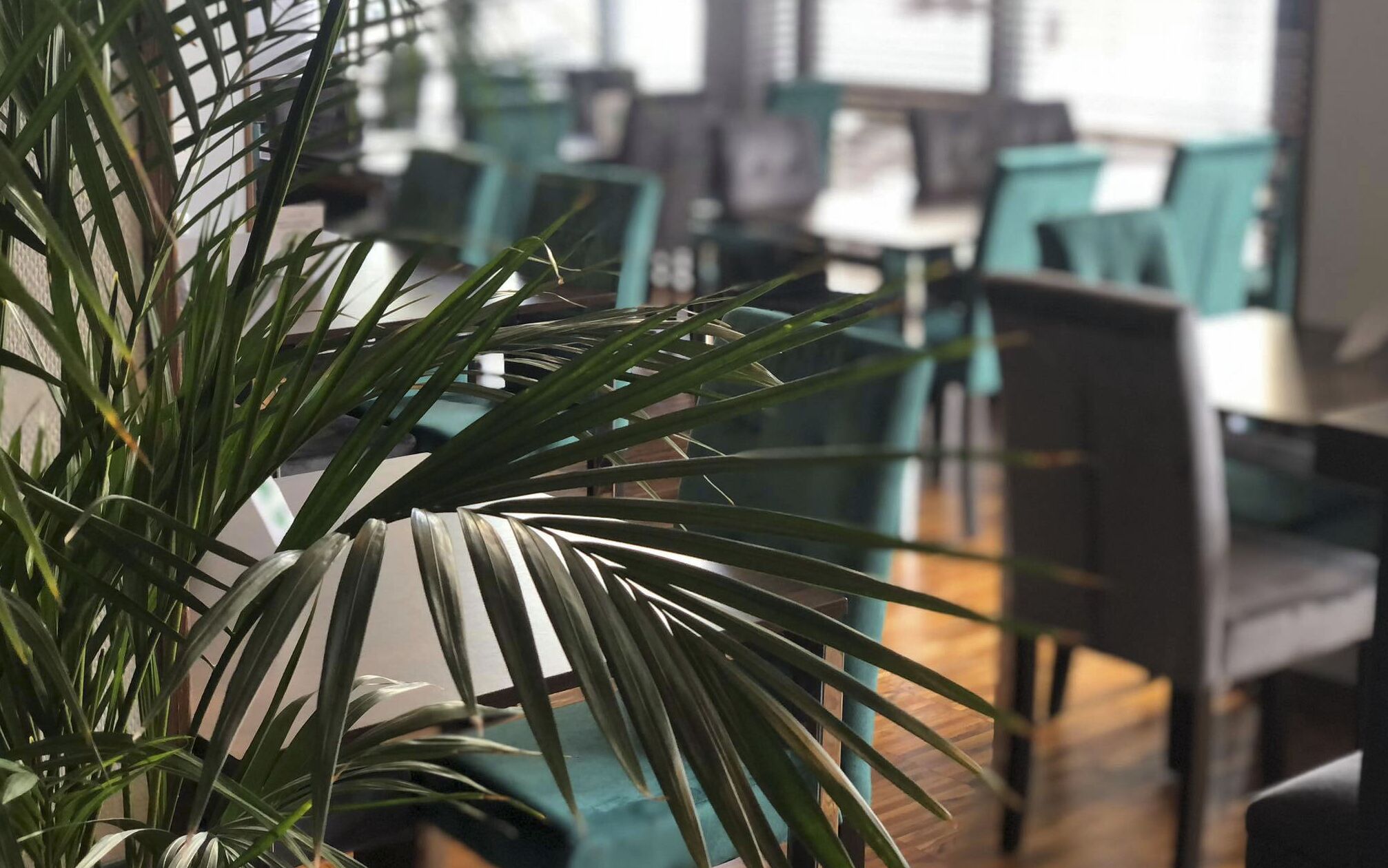 Photo - Quality Silesian Hotel