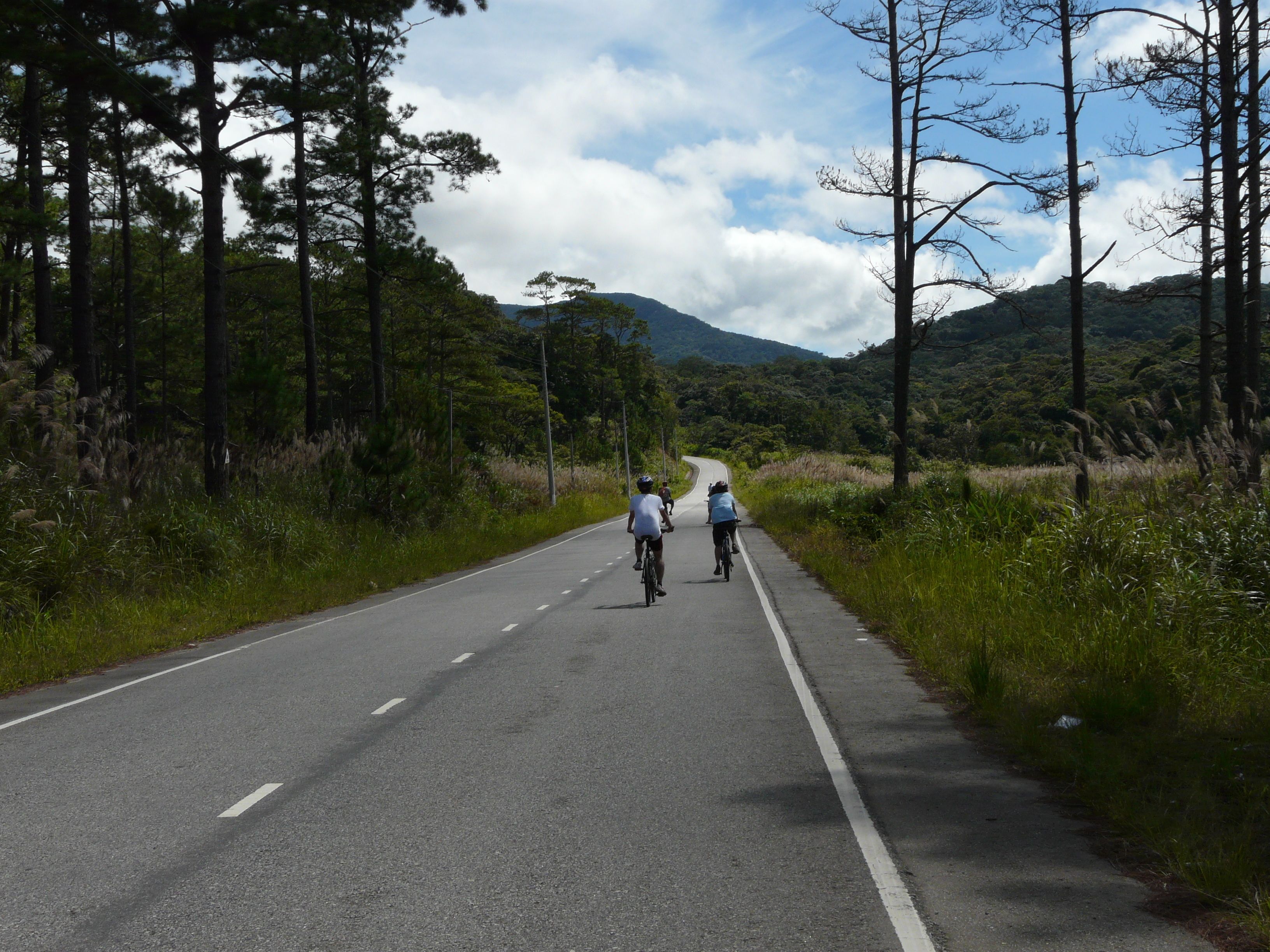Une route asphaltée bordée de grands arbres et de zones herbeuses, où des cyclistes circulent.