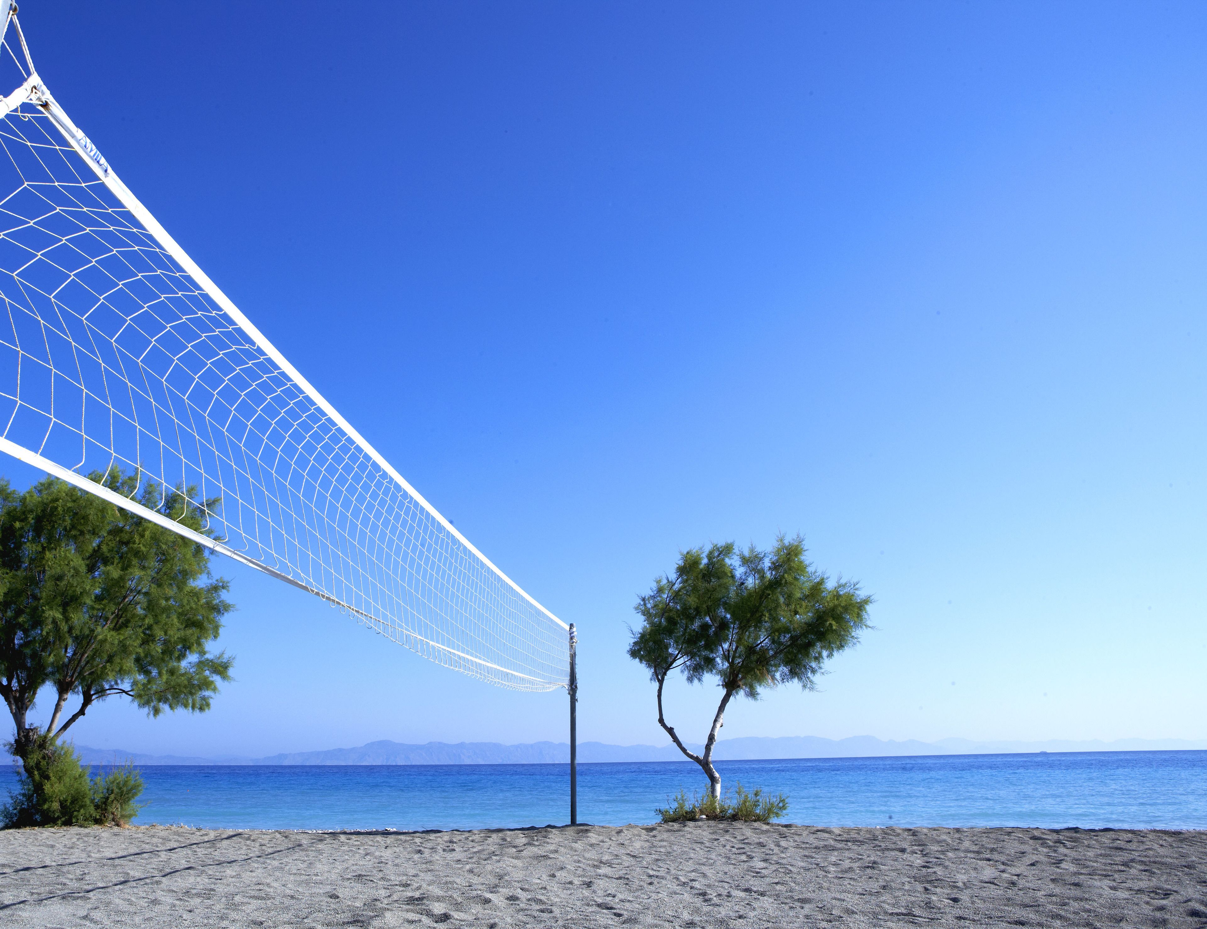 A beach with a volleyball net, a tree, and a clear blue sky.
