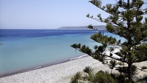 A beach with clear blue water, a sandy shore, and a pine tree in the foreground.