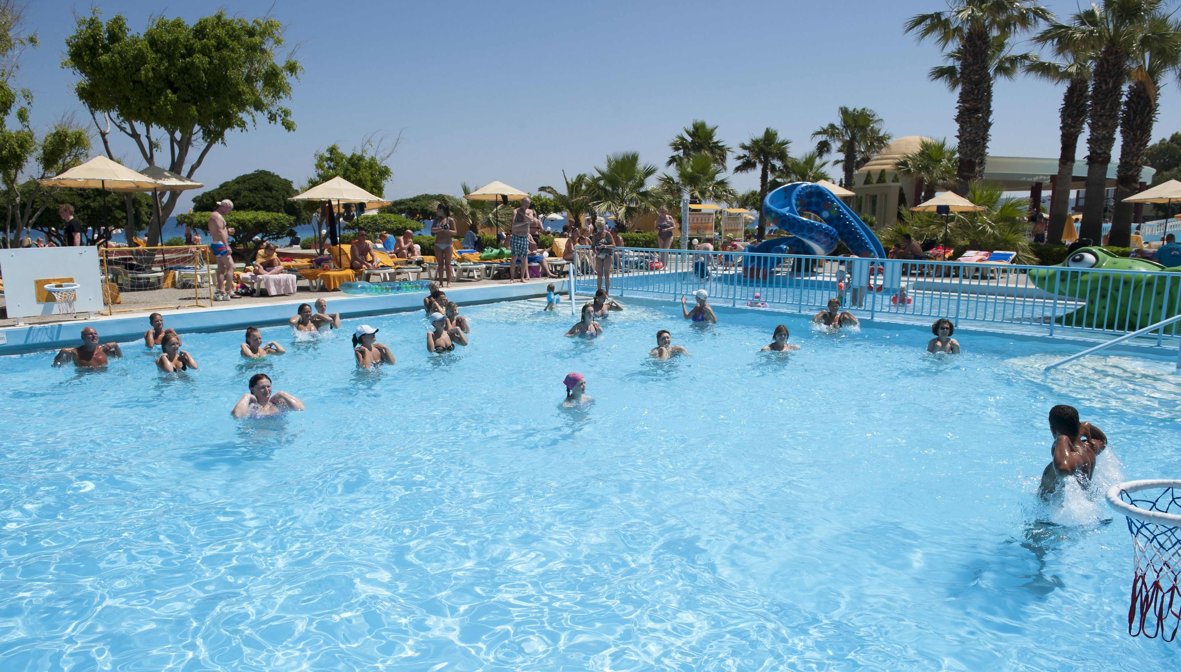 Piscina con gente disfrutando del agua, rodeada de palmeras y sombrillas.
