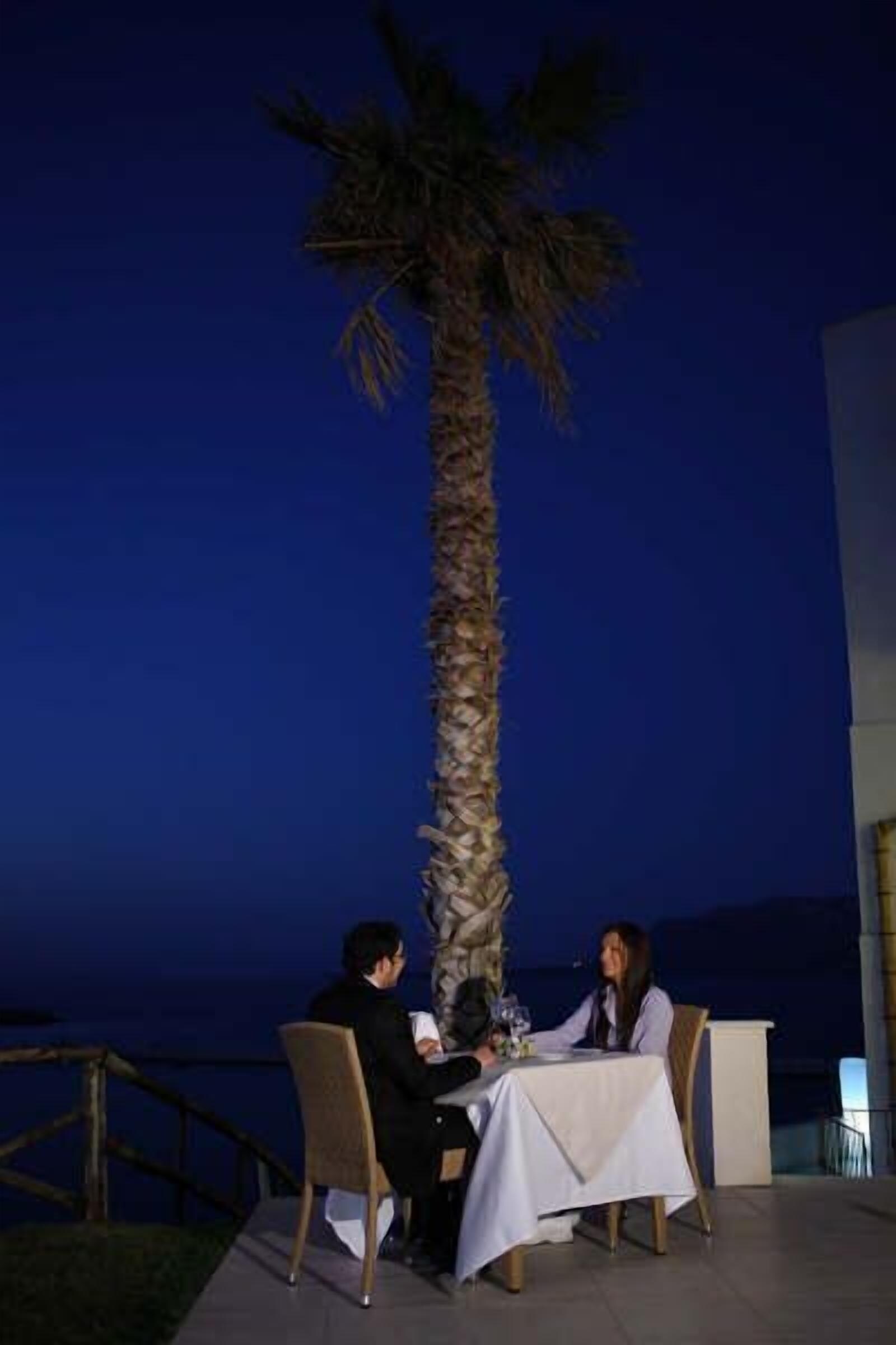 breakfast, lunch, dinner served; pool views