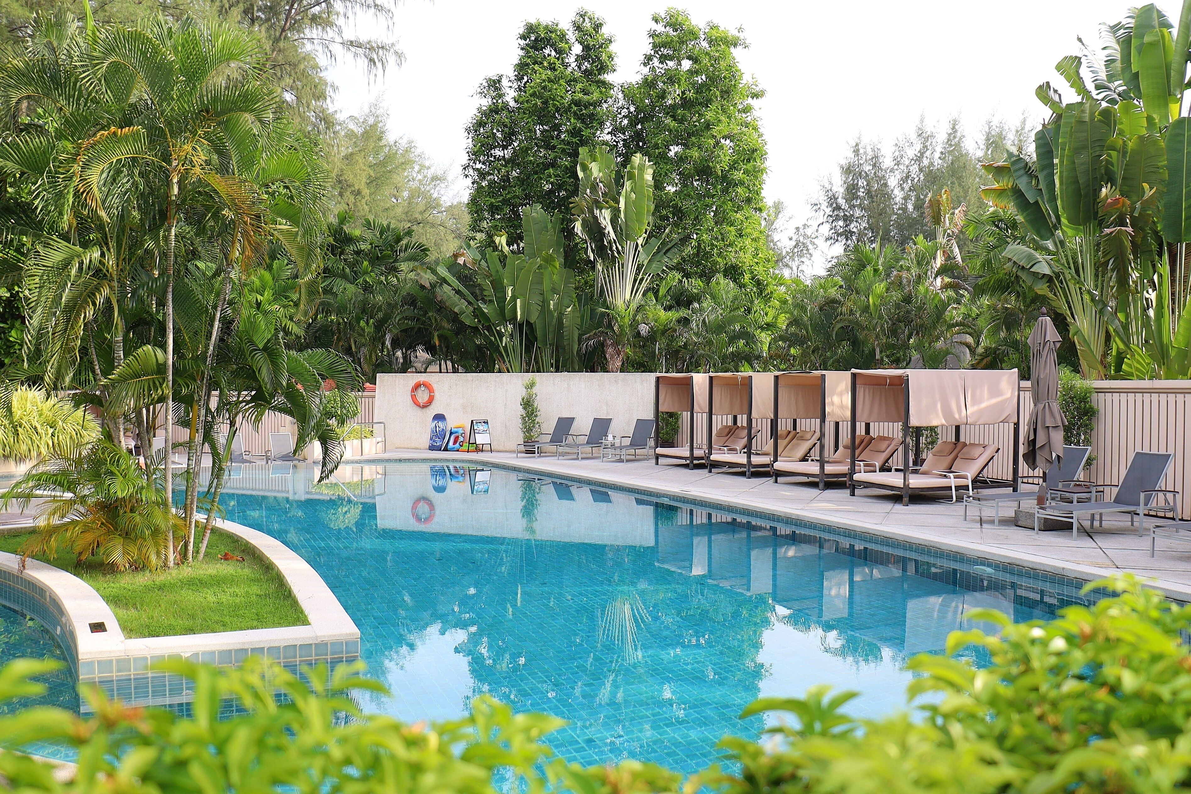 Una piscina rodeada de sillas de descanso y palmeras.