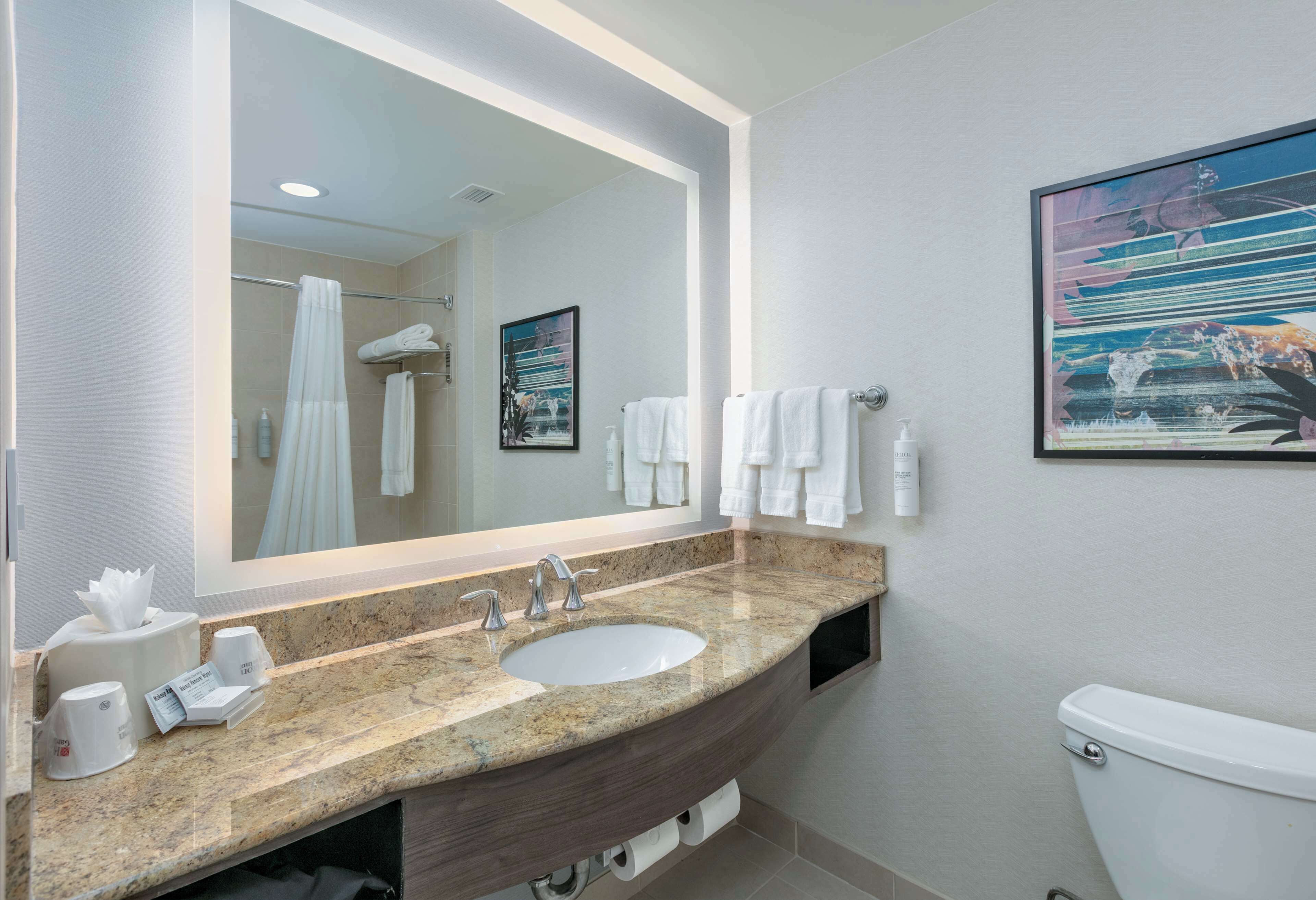 combined shower/bathtub, free toiletries, hair dryer, towels