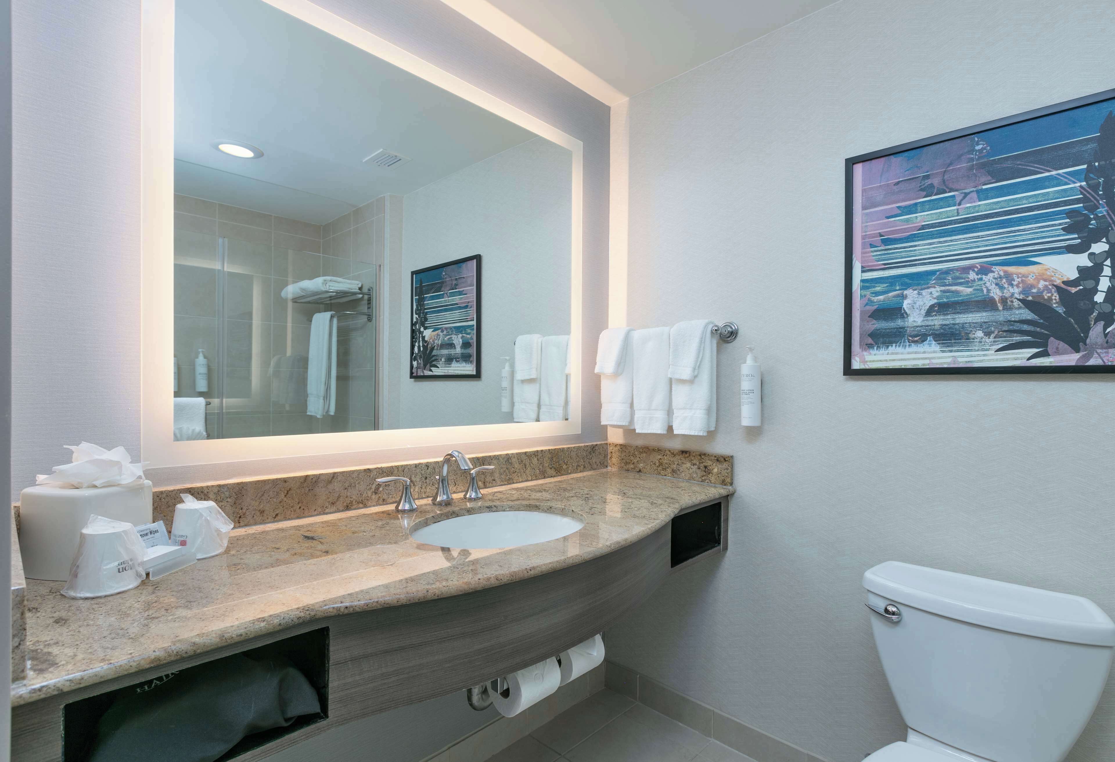 Foto - Hilton Garden Inn Dallas Arlington