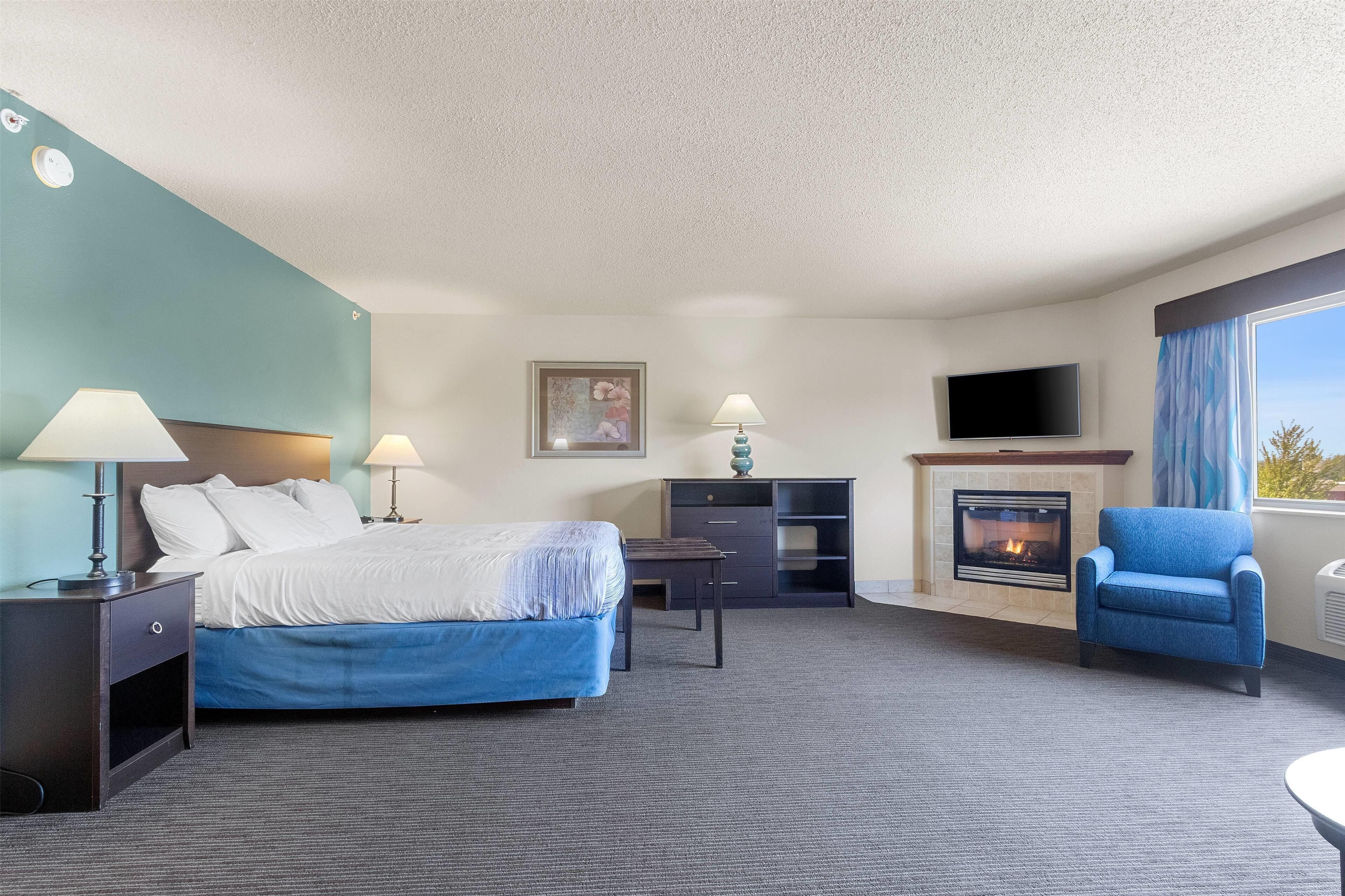 Une chambre d’hôtel avec un lit, un bureau, une chaise, une télévision, une cheminée et un tableau au mur.