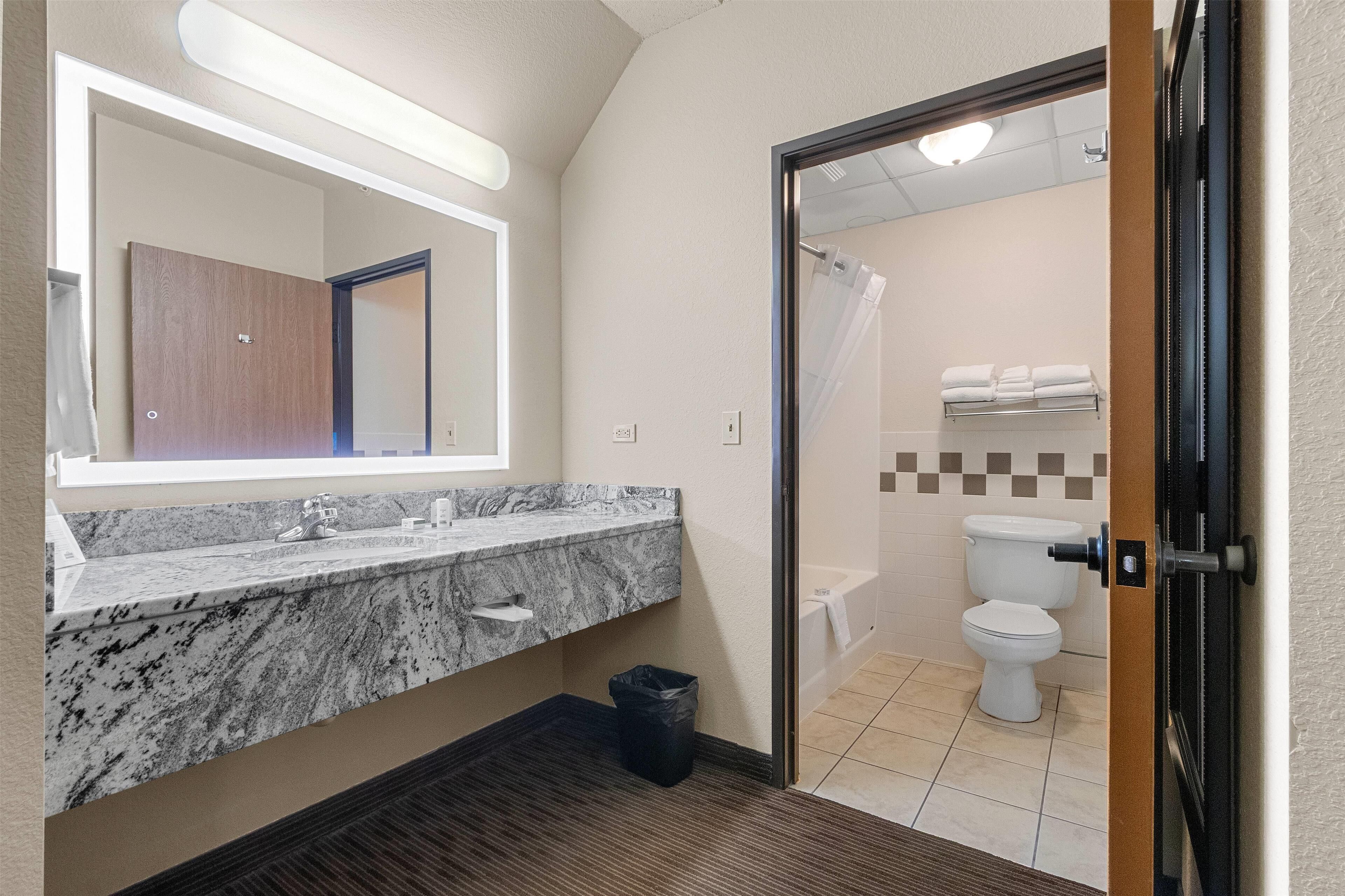 A bathroom with a marble sink, a mirror, a shower, and a toilet.