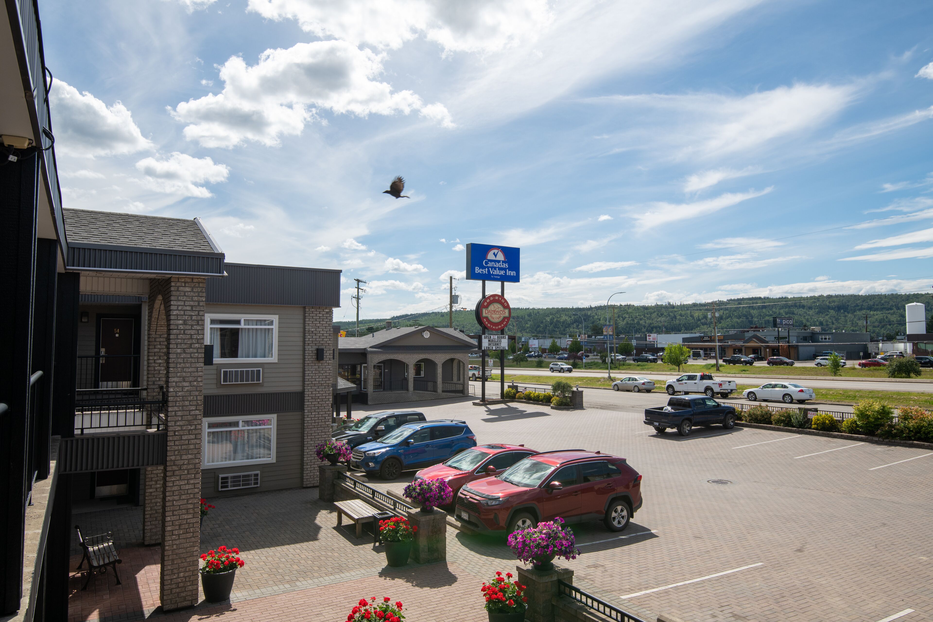 Un estacionamiento de hotel con varios coches, un cartel de Best Value Inn y una vista de un paisaje montañoso al fondo.