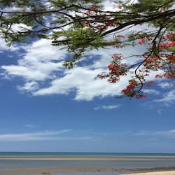 Plage à proximité, parasols