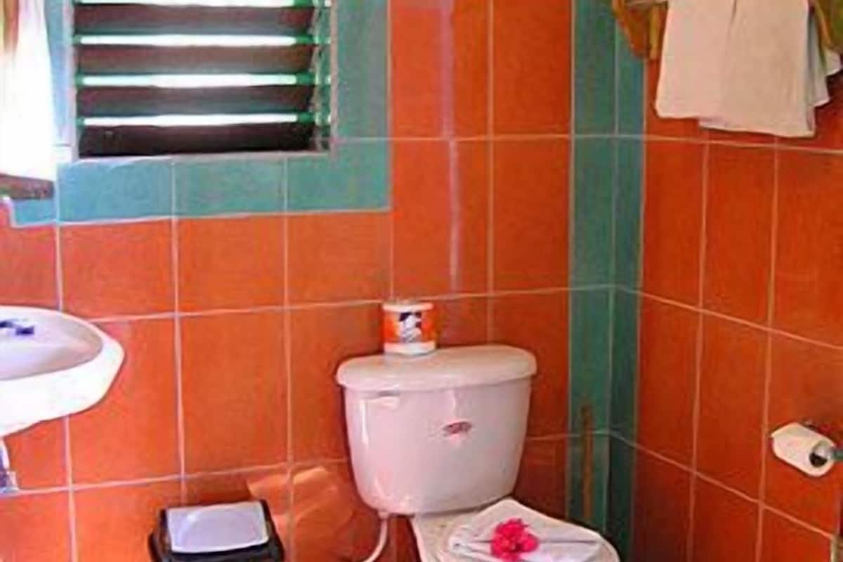 combined shower/bathtub, free toiletries, towels
