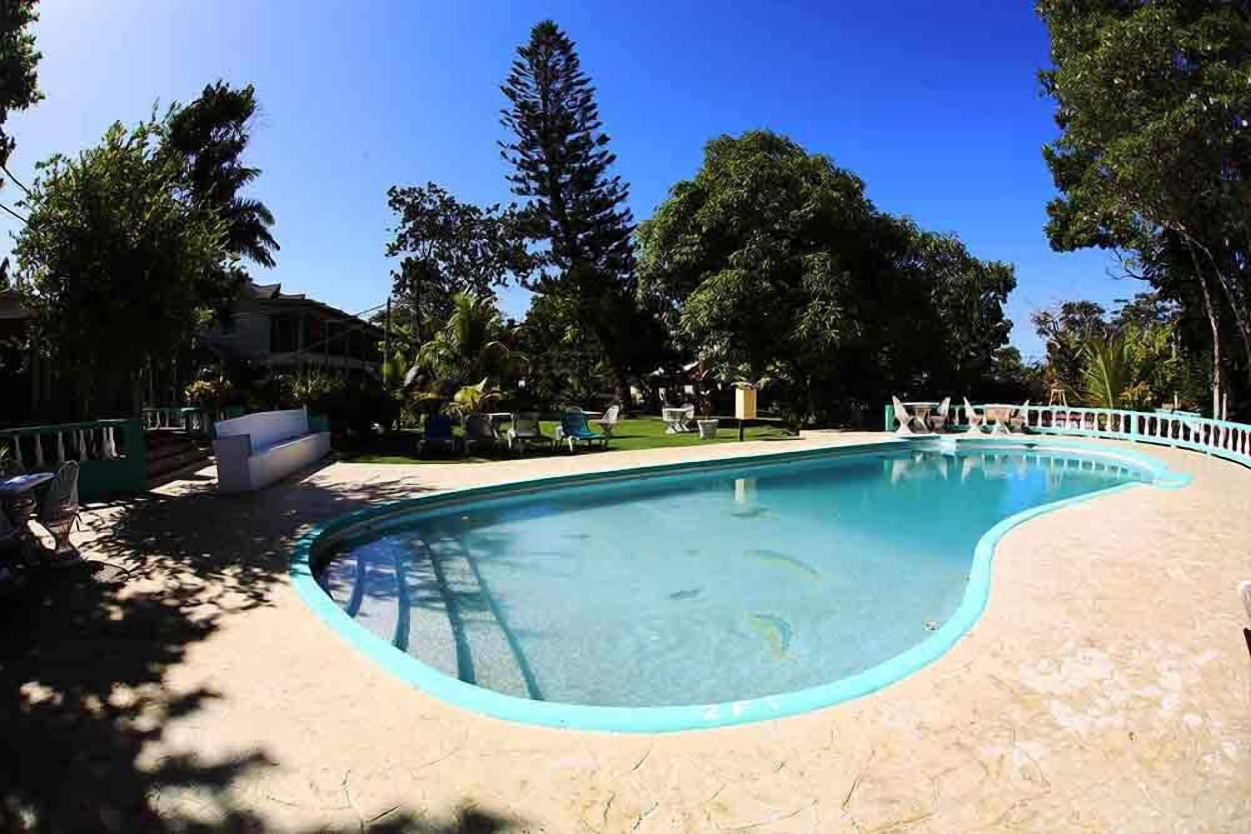 室外游泳池，池畔遮阳伞，日光浴躺椅