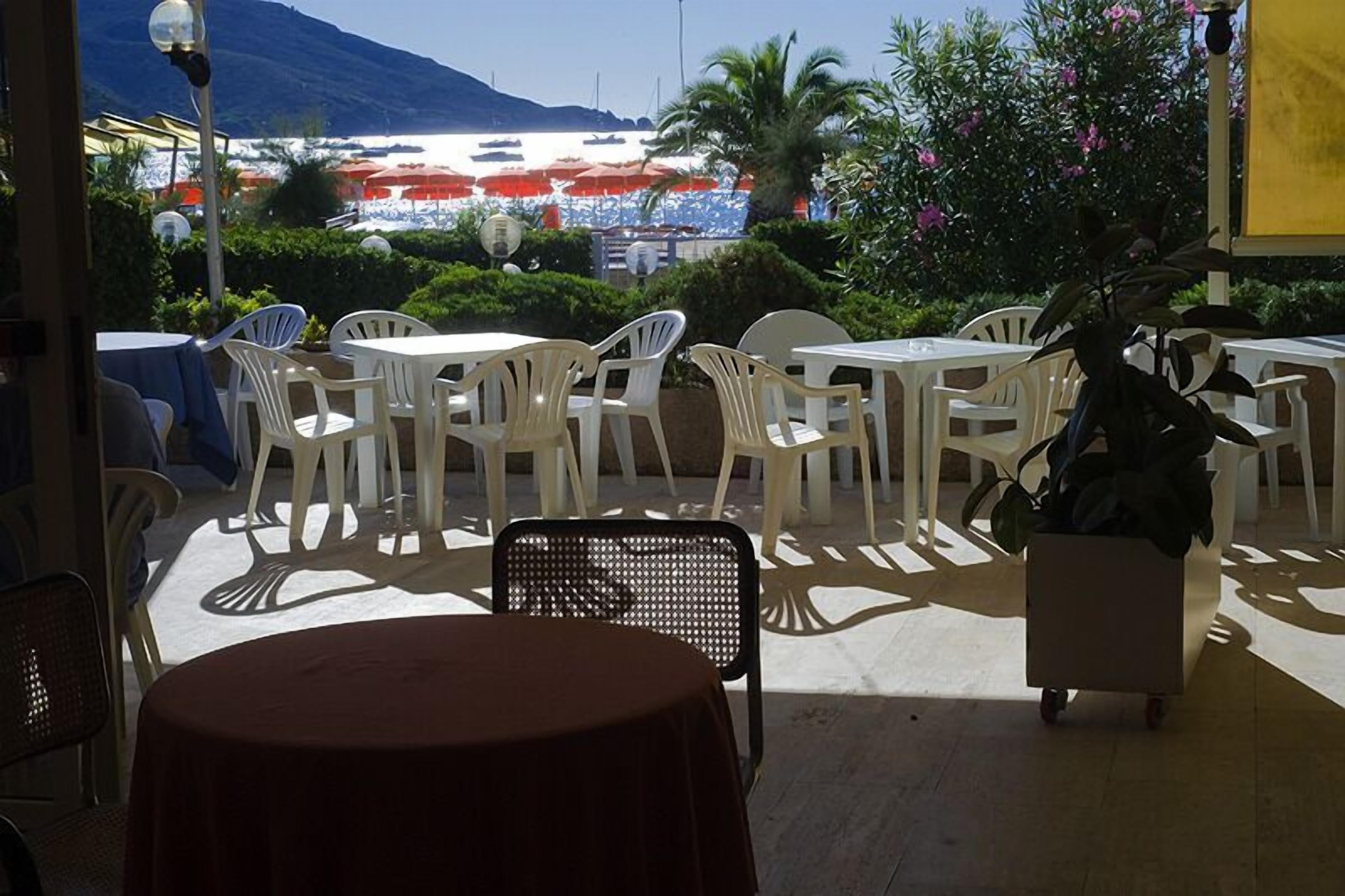 An outdoor seating area with white plastic chairs and tables, a potted plant, and a view of boats on the water.