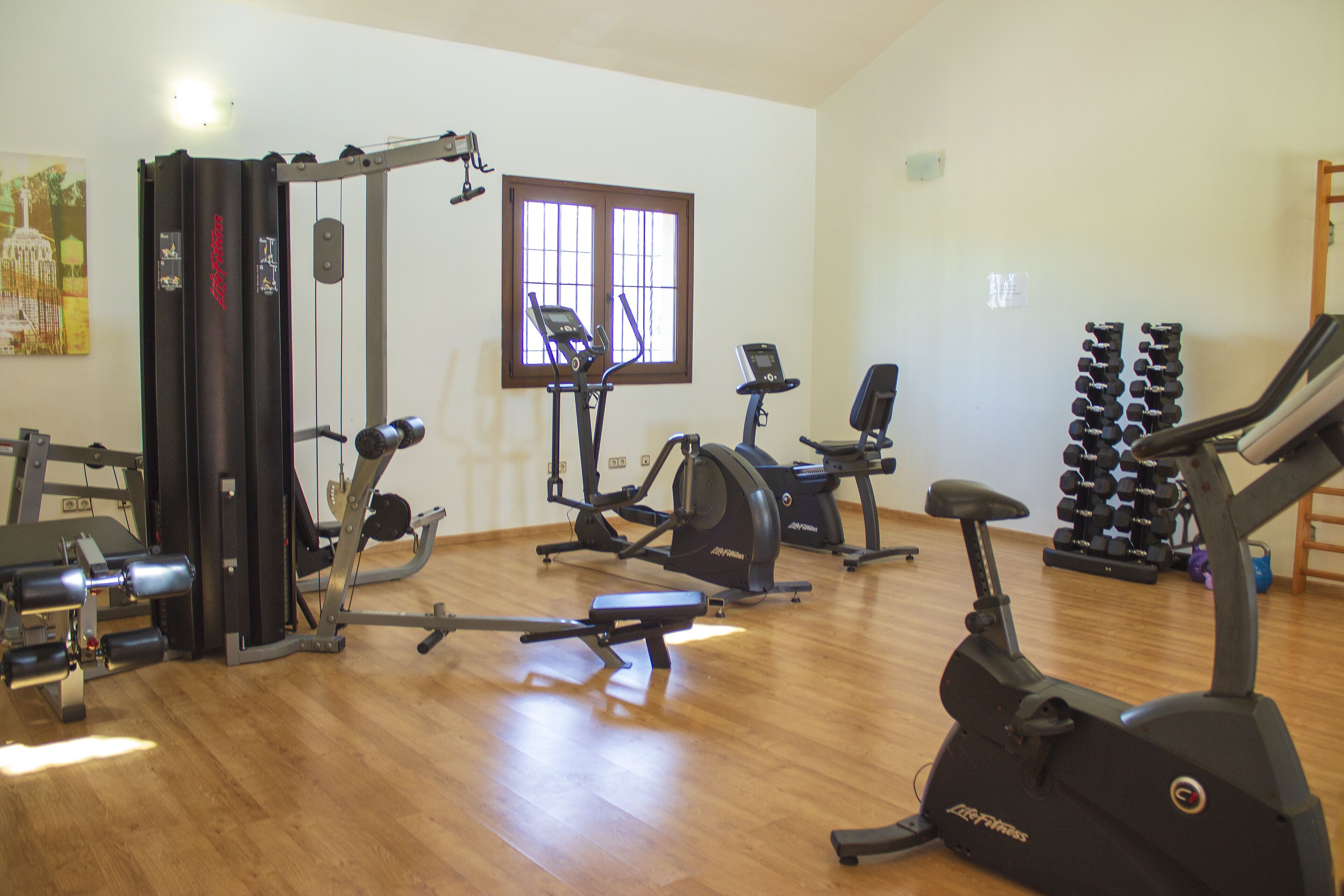 A gym with various exercise equipment, including treadmills, a stationary bike, and weight machines.