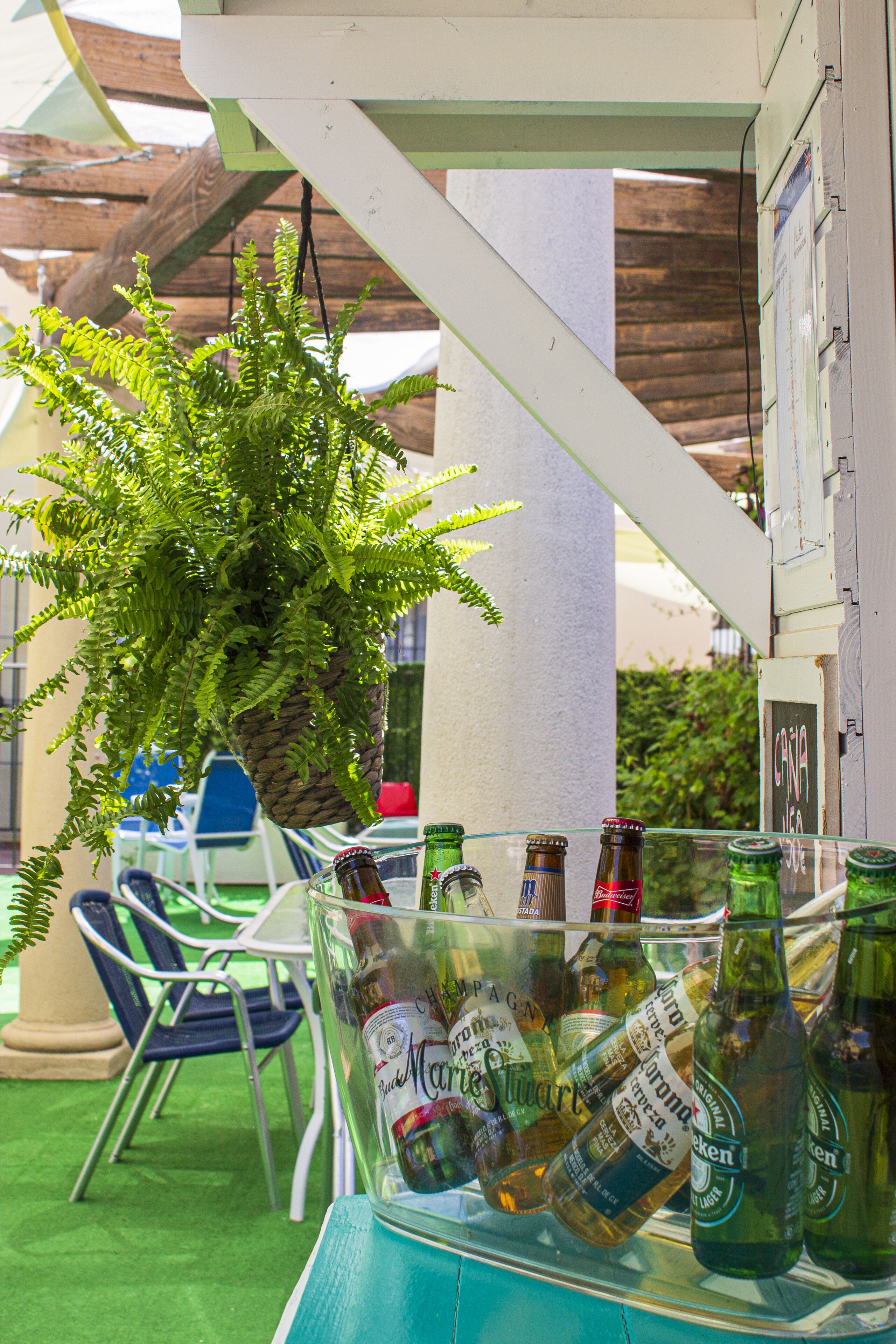 Een glazen display met bierflesjes, een potplant varens en buitenstoelen.