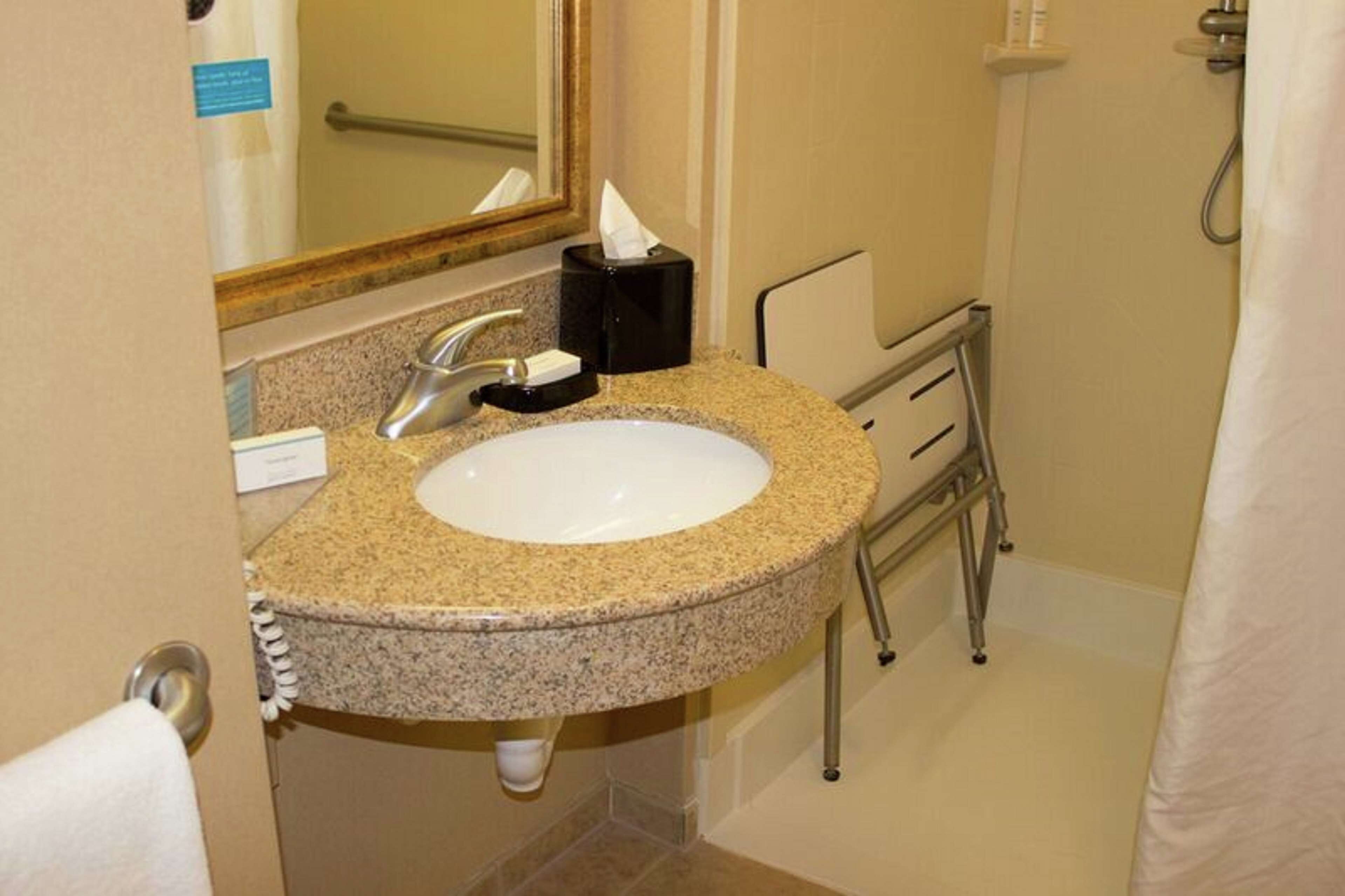 room, 1 king bed, accessible, non smoking | bathroom shower