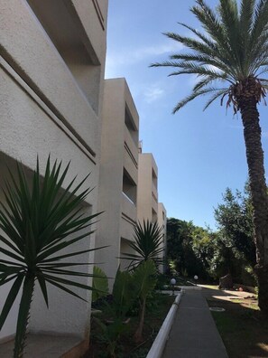 A pathway flanked by buildings with balconies, surrounded by palm trees and other greenery.