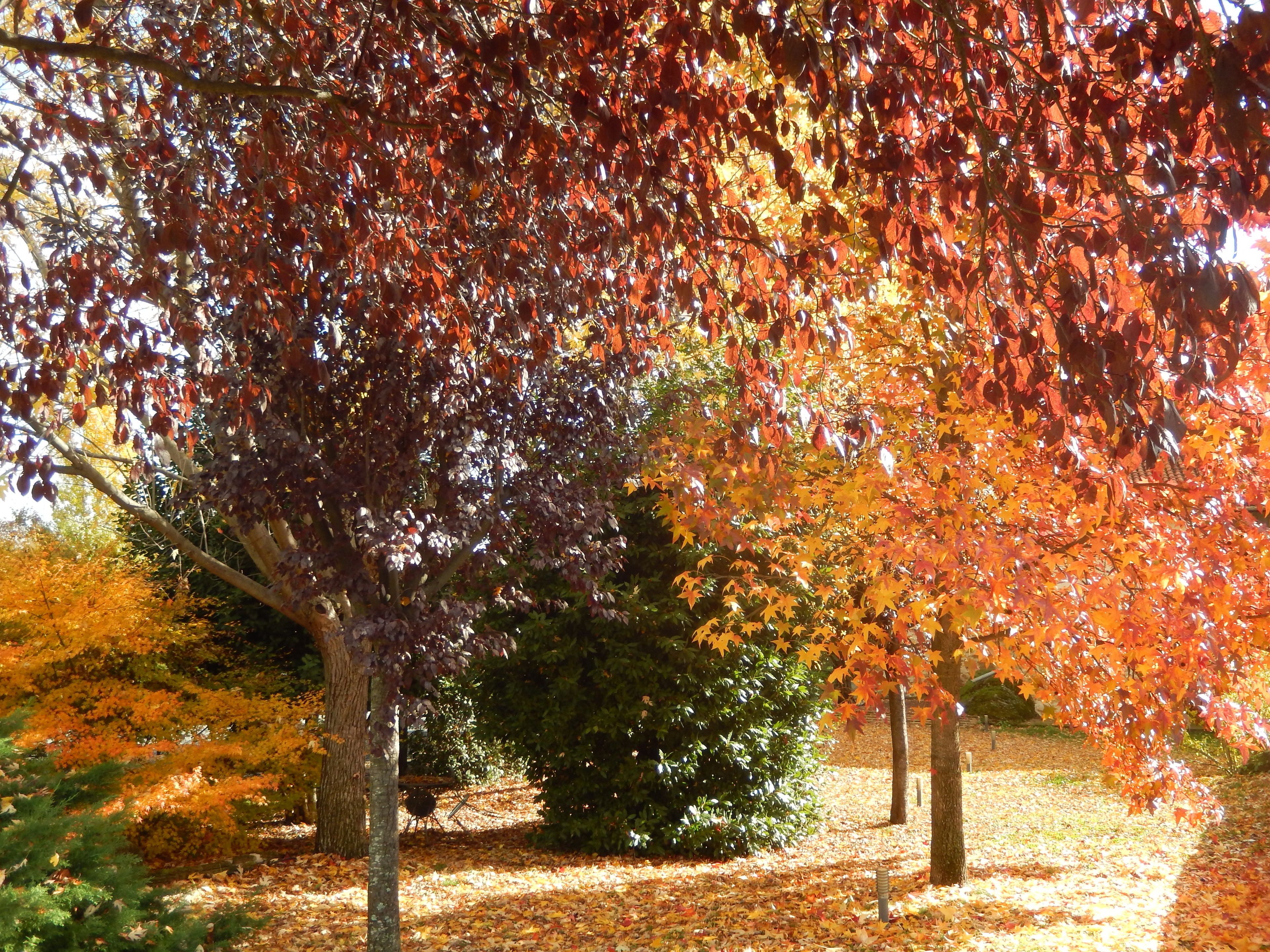 Habitación superior | Vistas desde la habitación