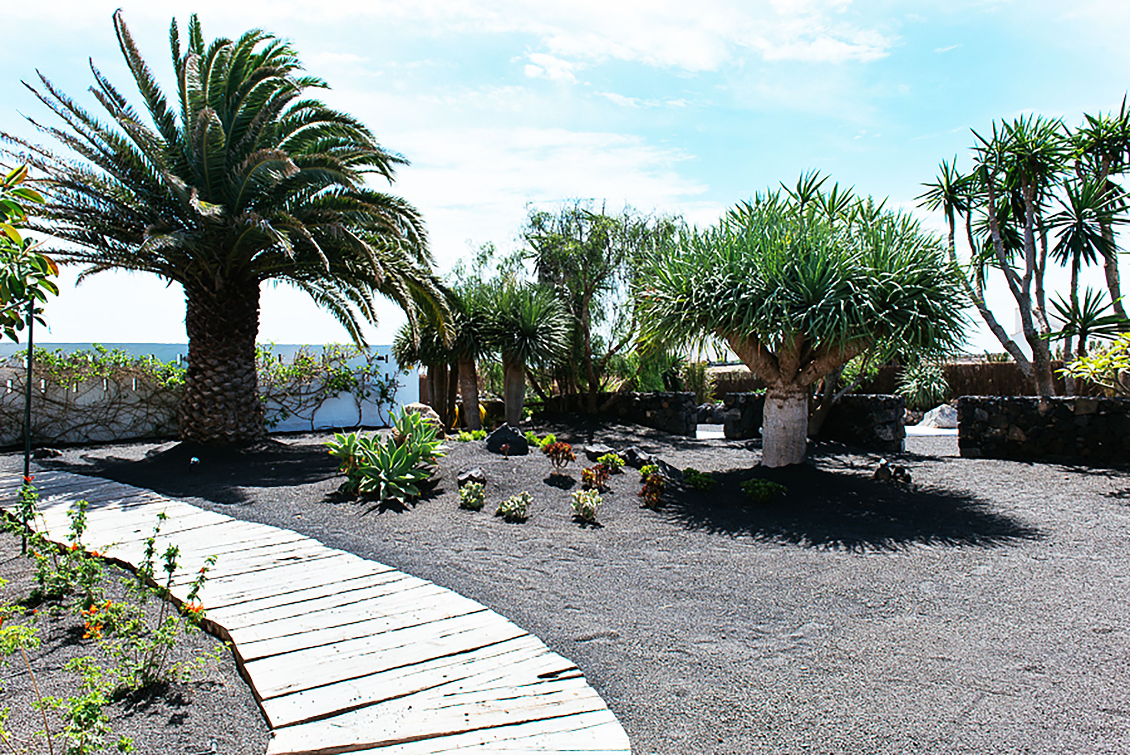 Foto - Hotel EL GRIFO