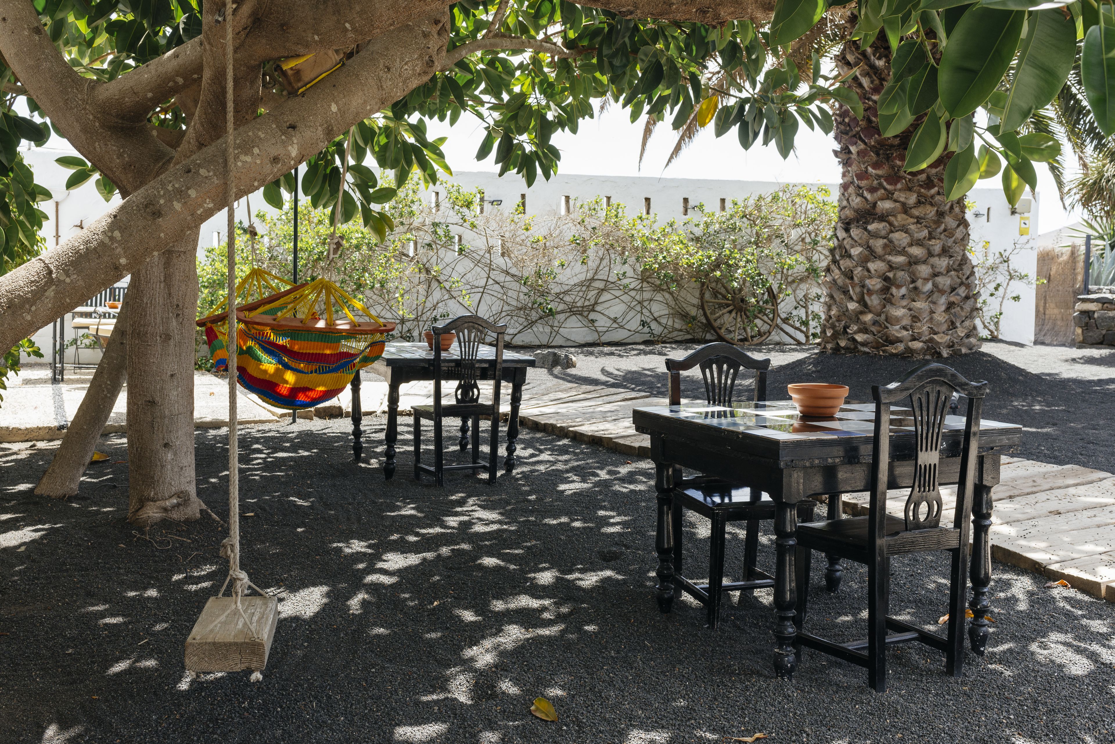 An outdoor seating area with tables and chairs under a tree, a hammock, and a large palm tree.